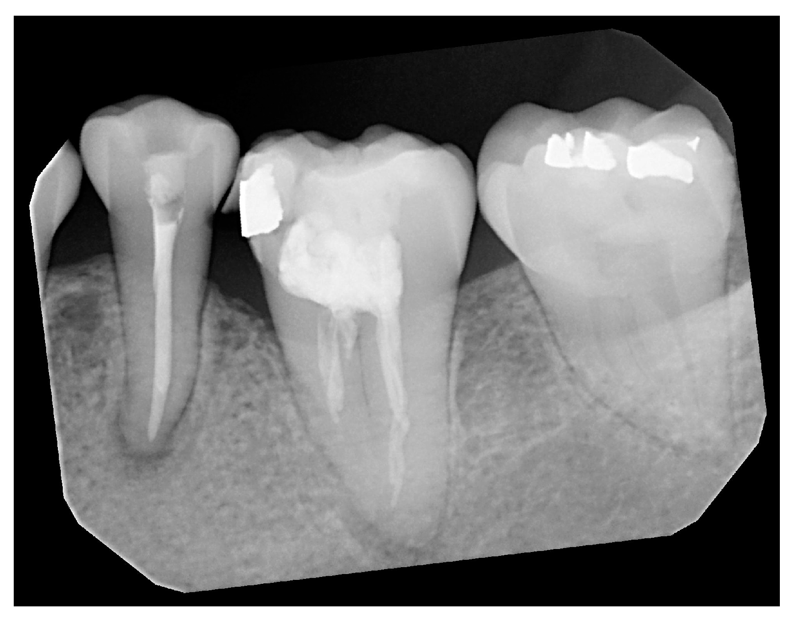 Bioengineering 11 00877 g003