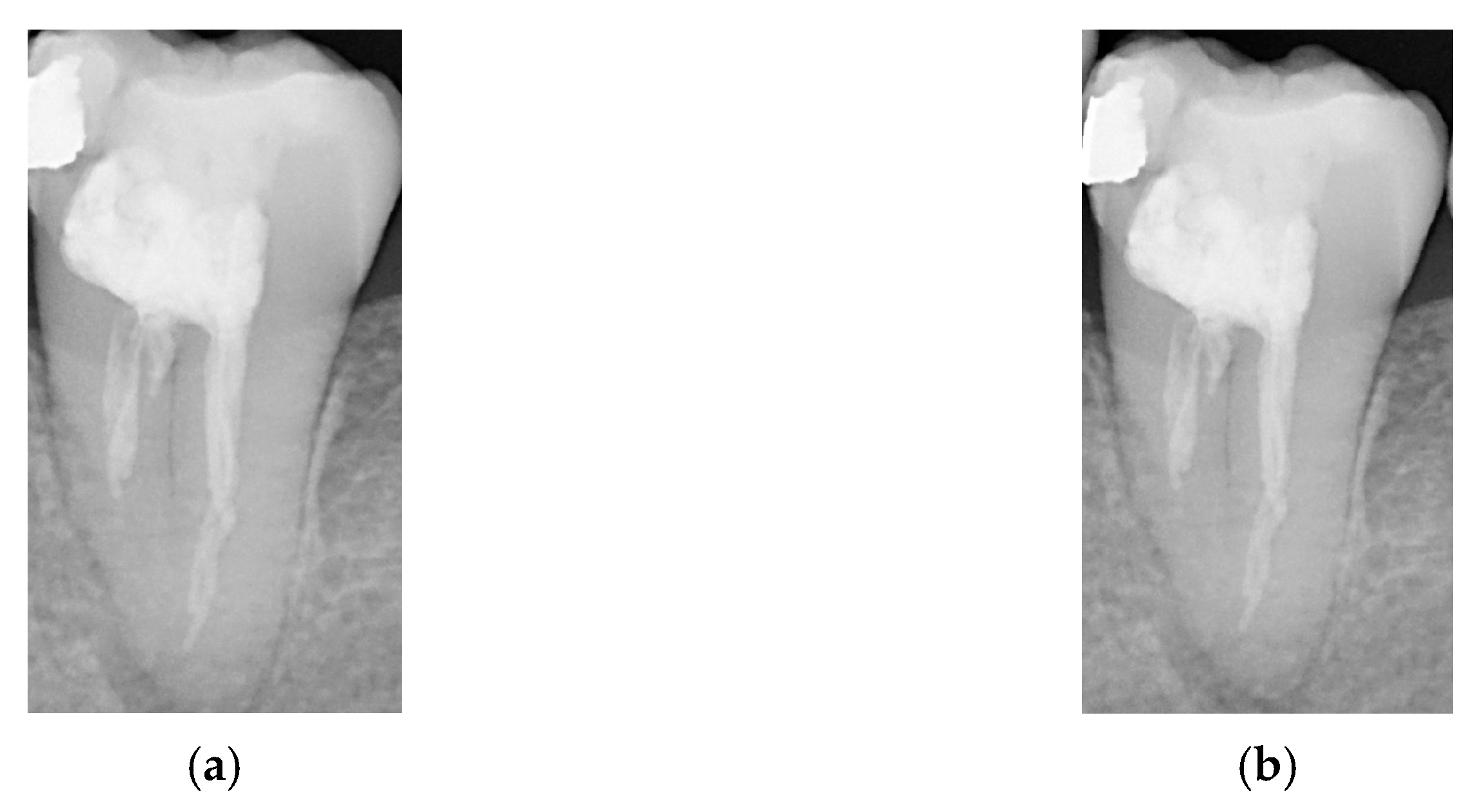 Bioengineering 11 00877 g004