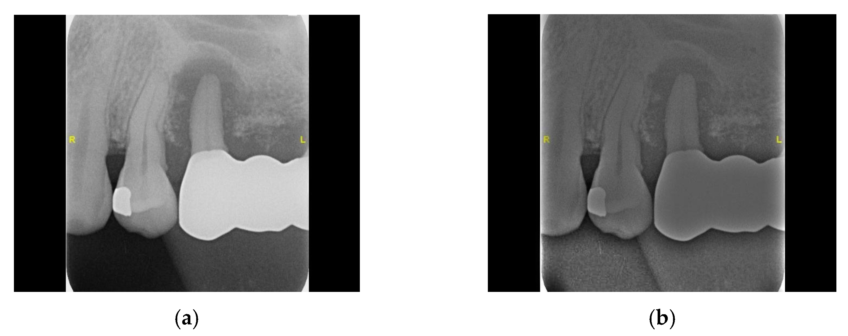Bioengineering 11 00877 g007