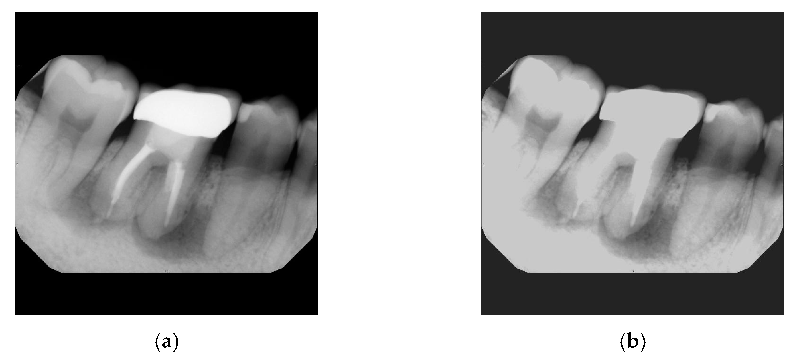 Bioengineering 11 00877 g009