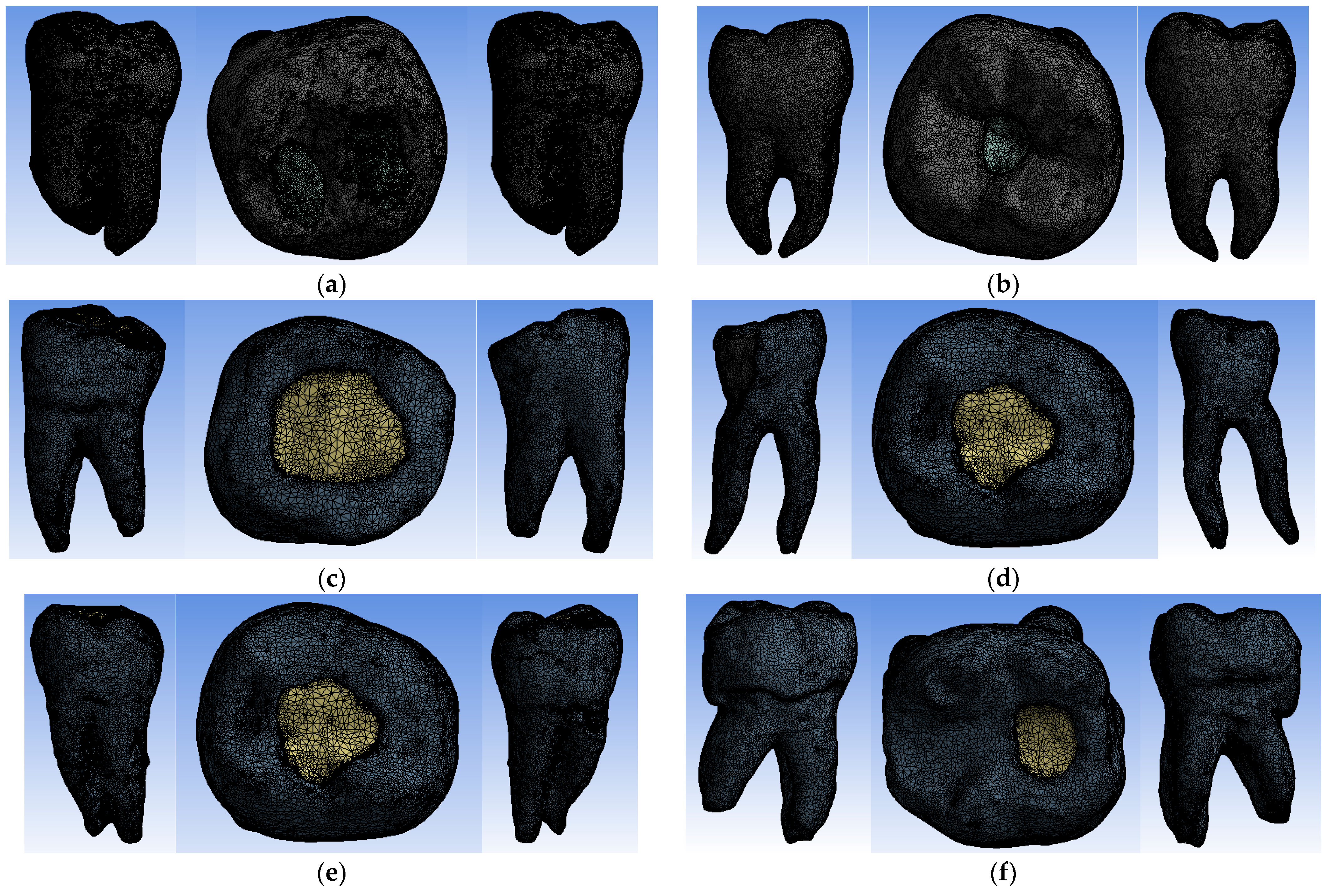 Bioengineering 11 00878 g013