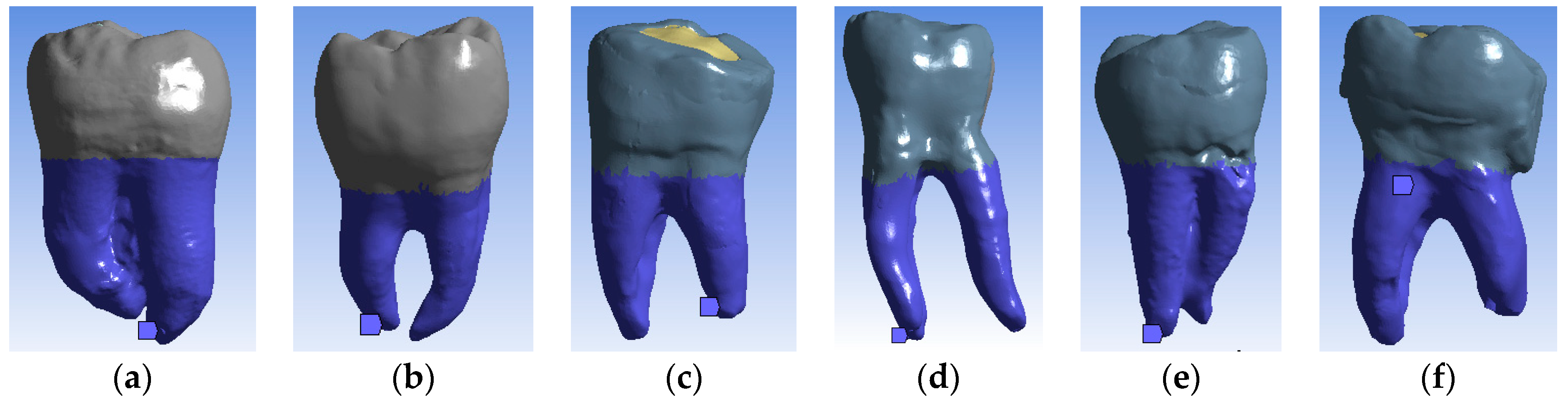 Bioengineering 11 00878 g014