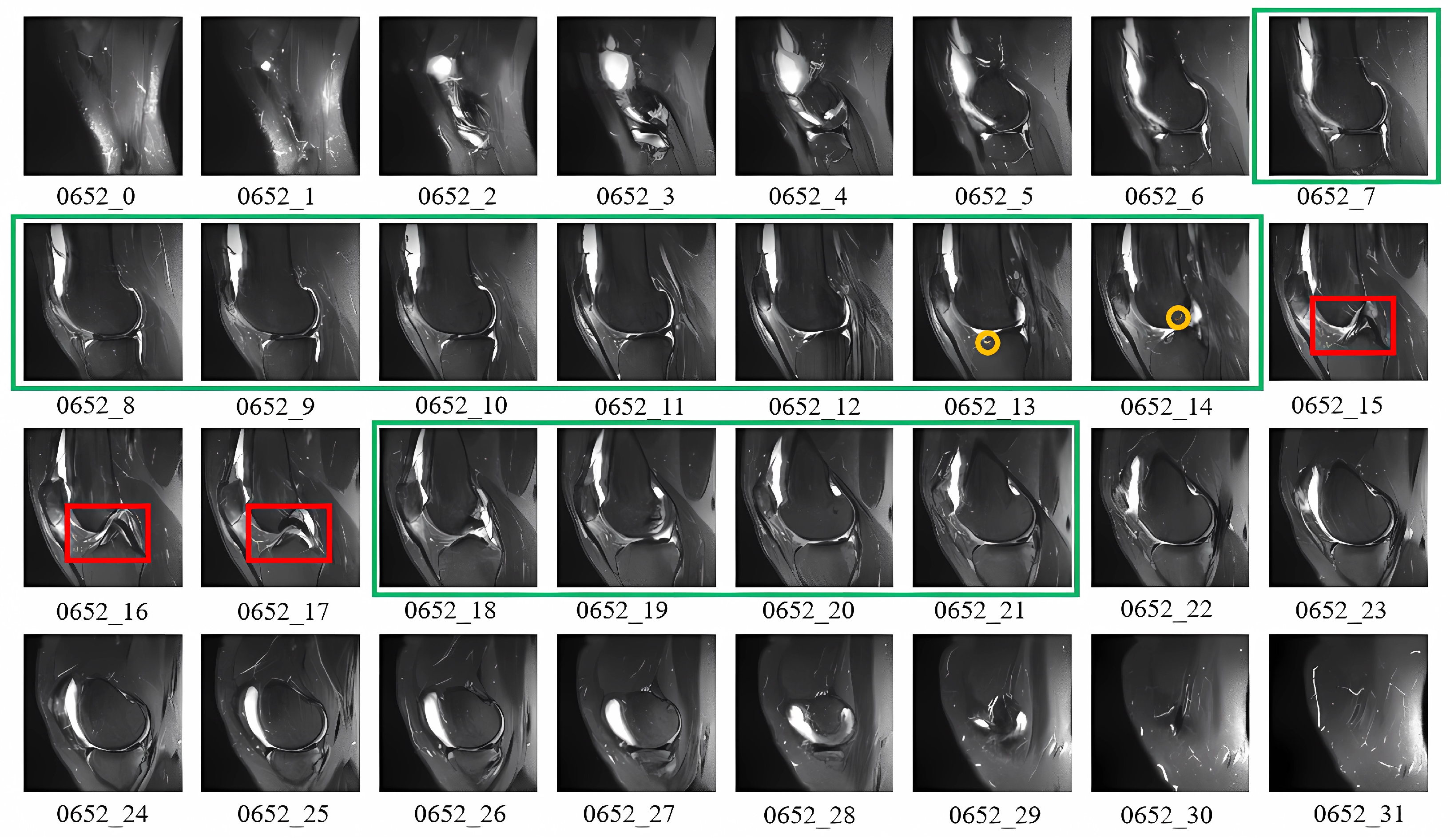 Bioengineering 11 00880 g003