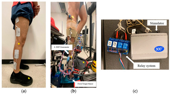 Functional Electrical Stimulation of the Lateral Knee Muscles Can 