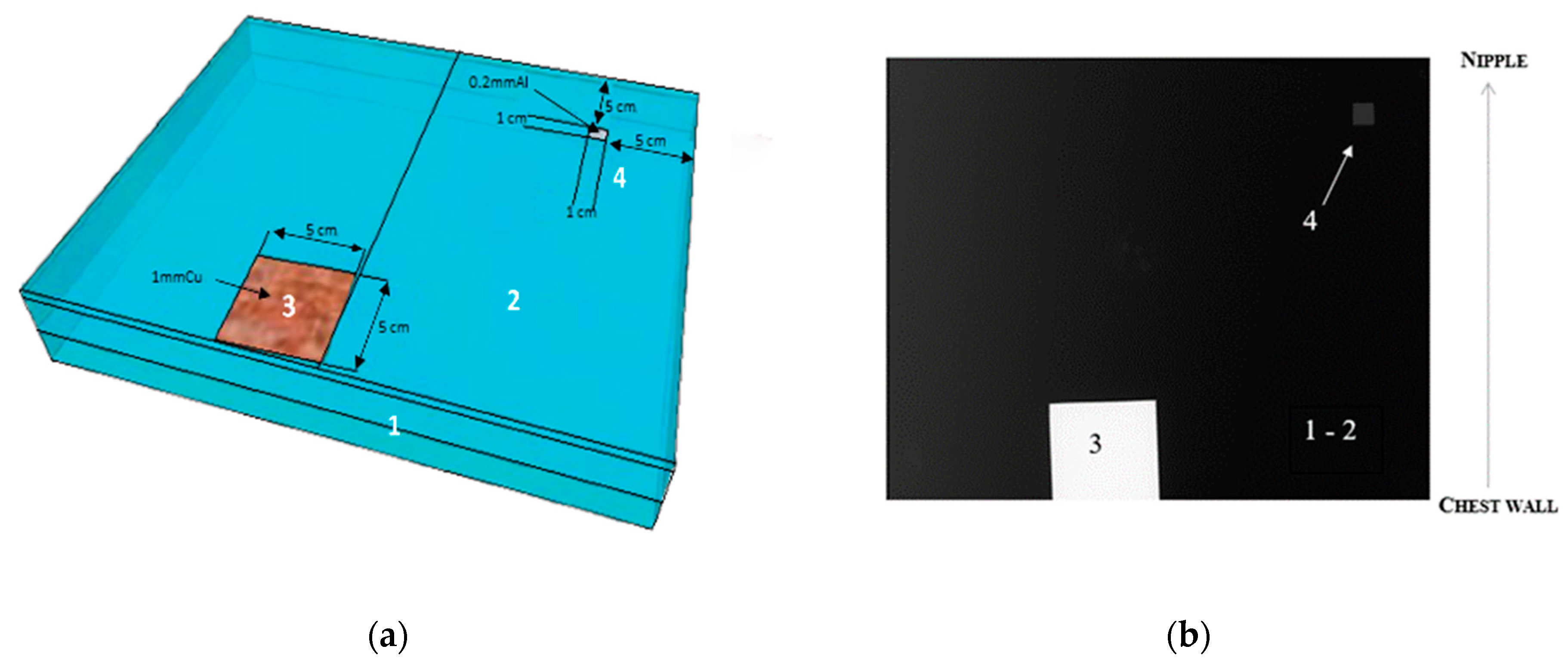 Bioengineering 11 00884 g002