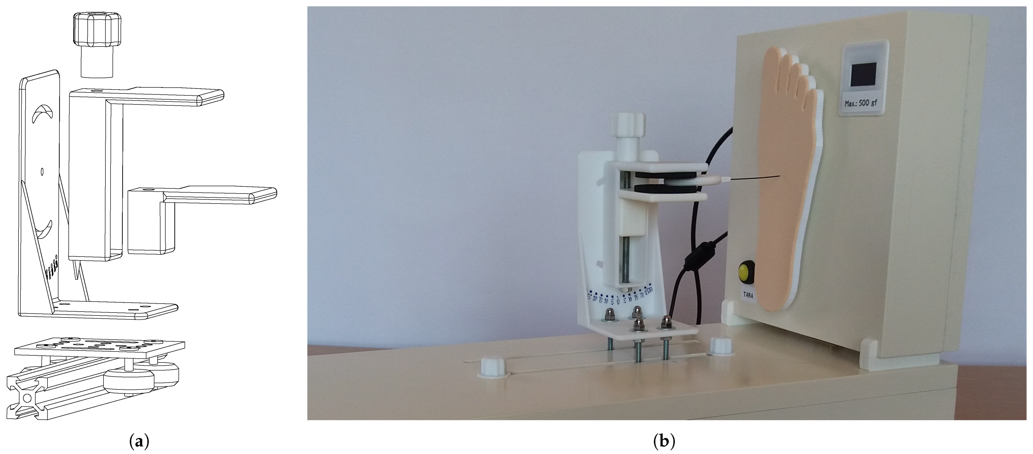 Bioengineering 11 00886 g005