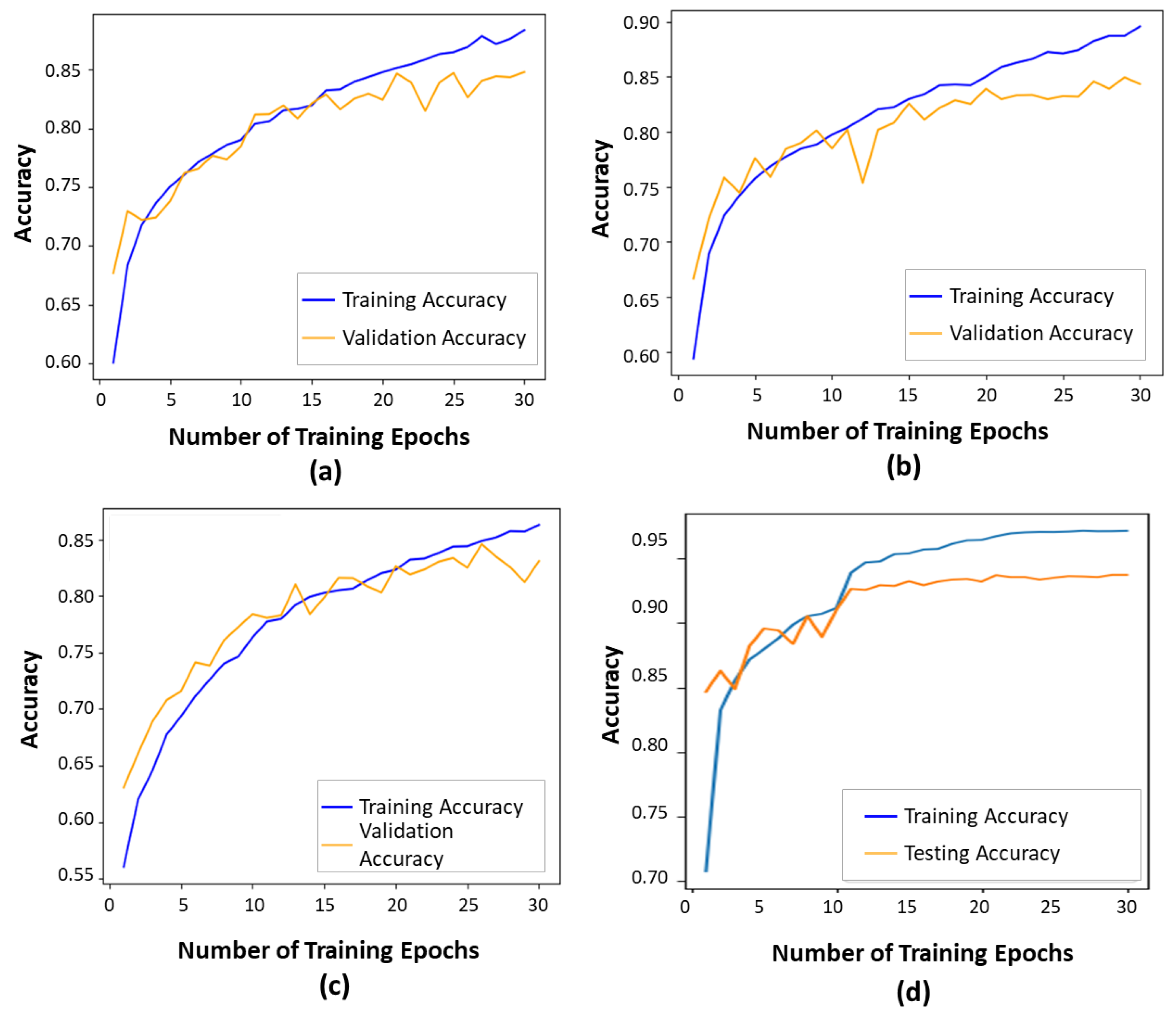 Bioengineering 11 00887 g005