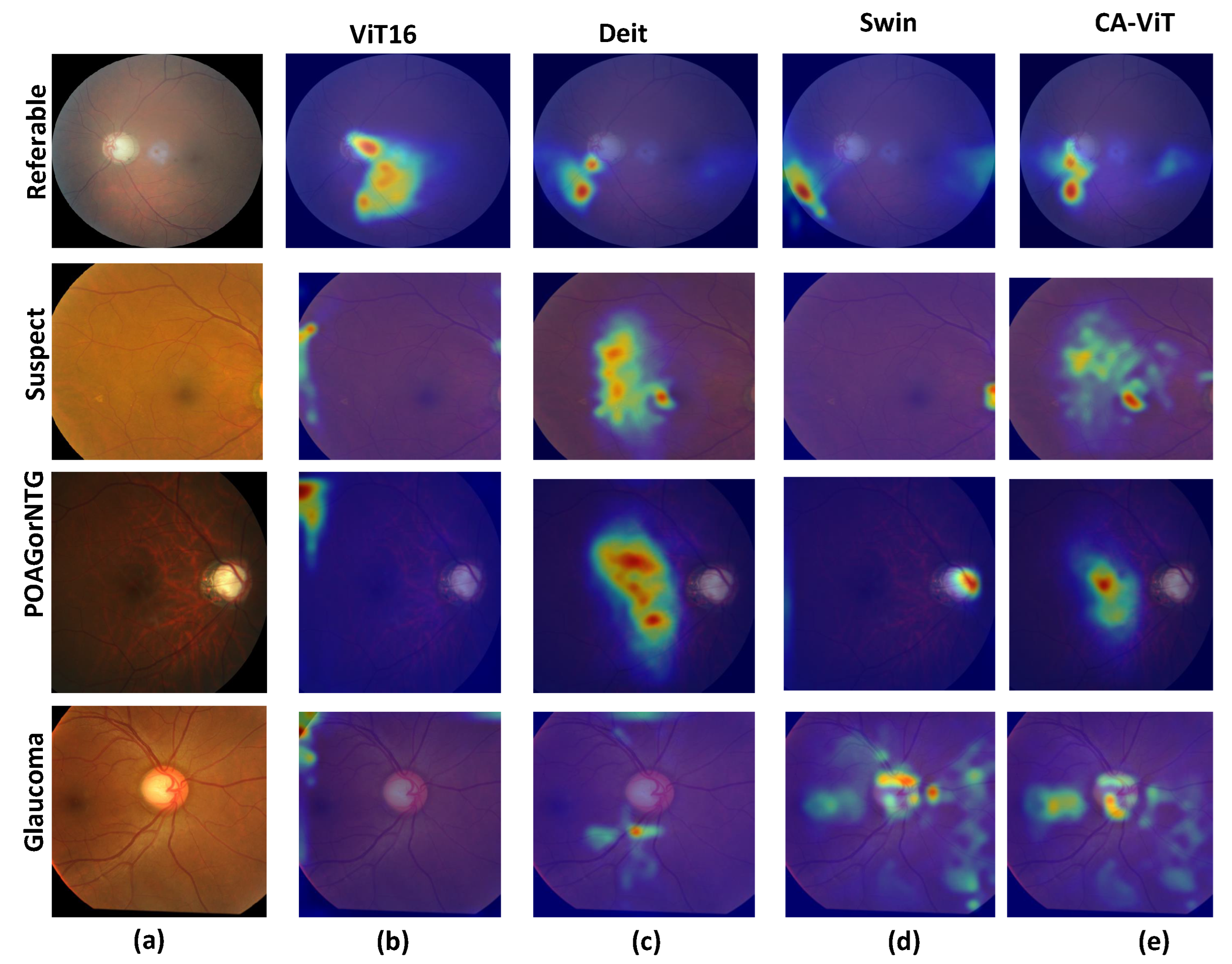 Bioengineering 11 00887 g007