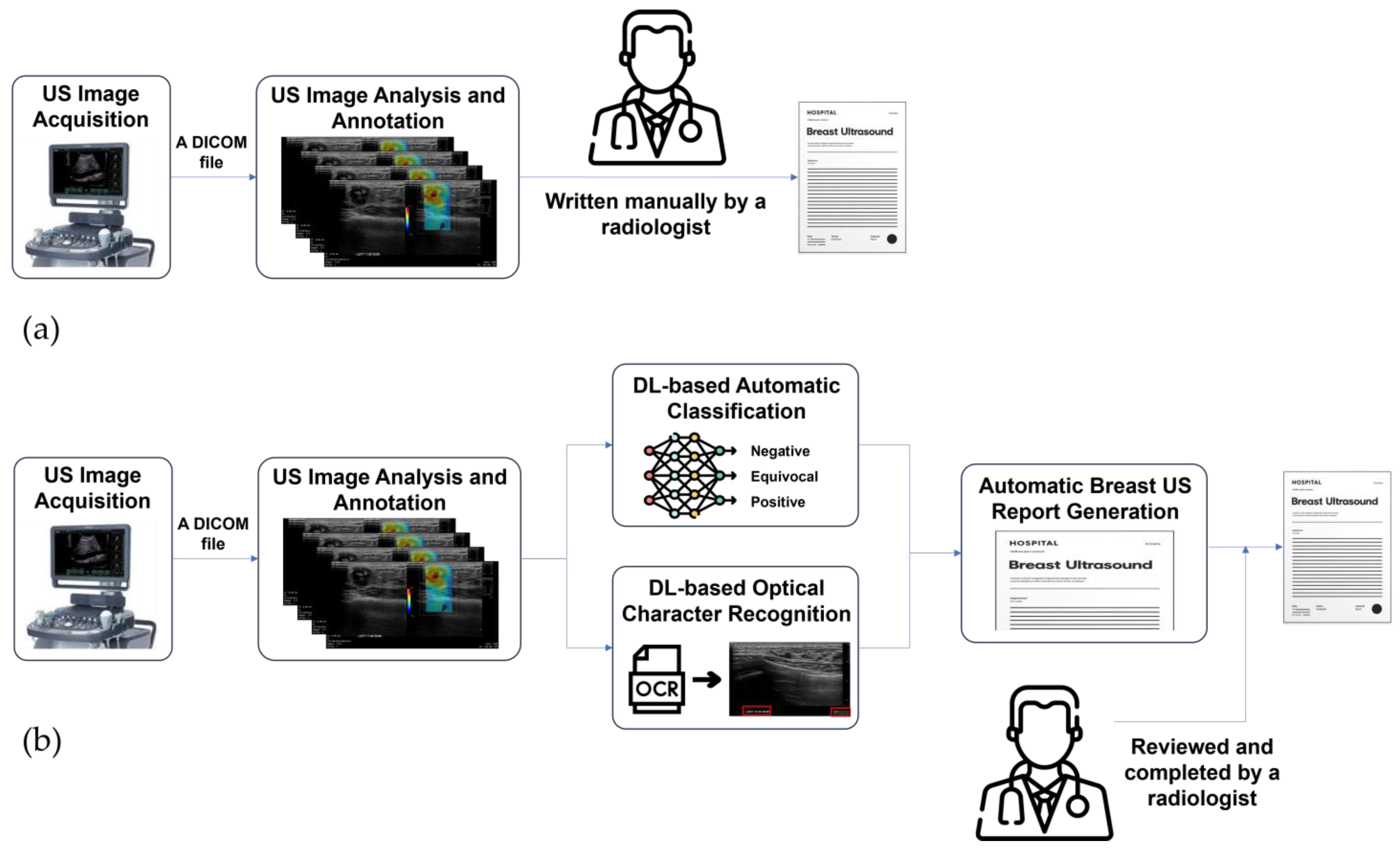 Bioengineering 11 00890 g001