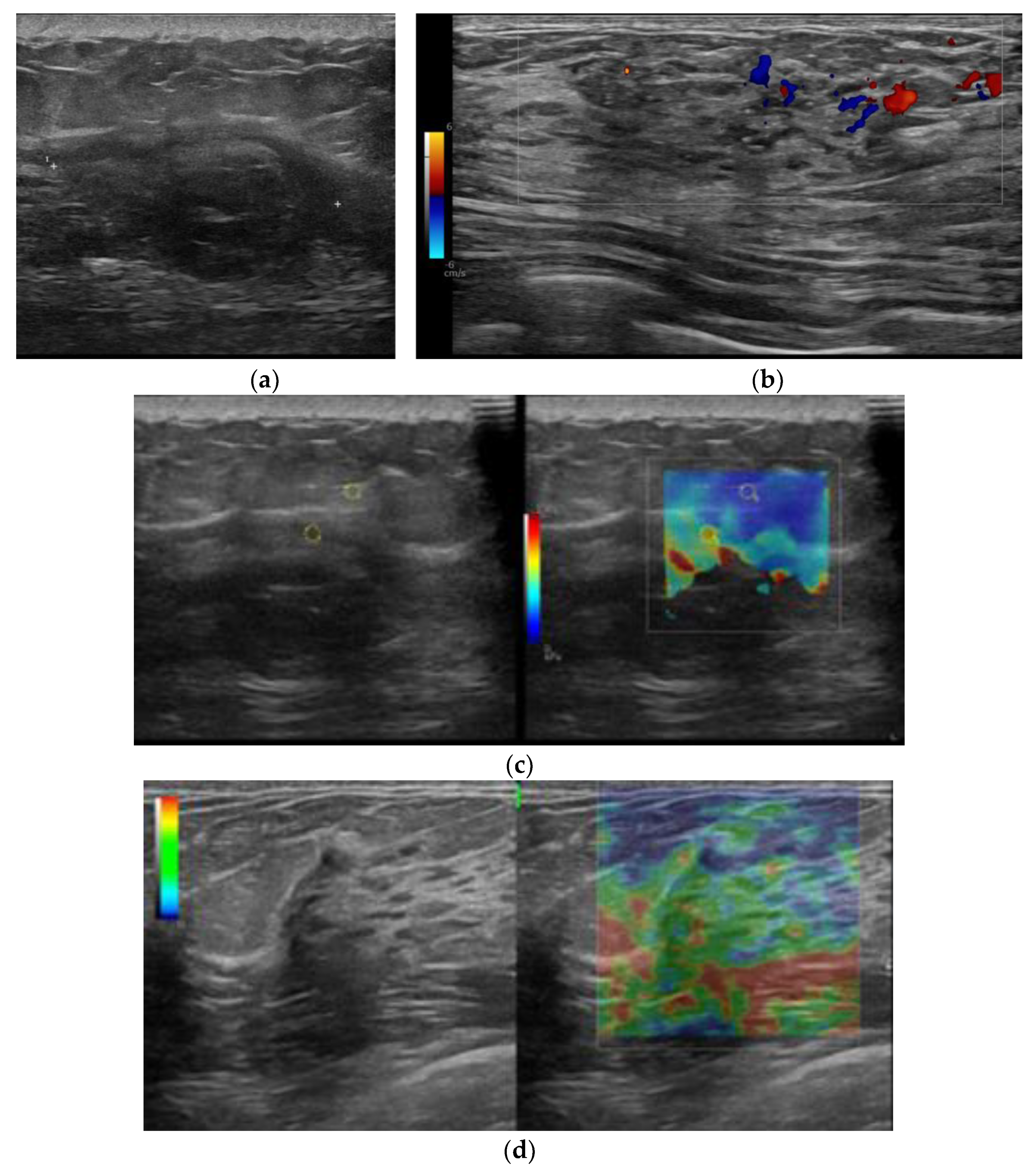 Bioengineering 11 00890 g003