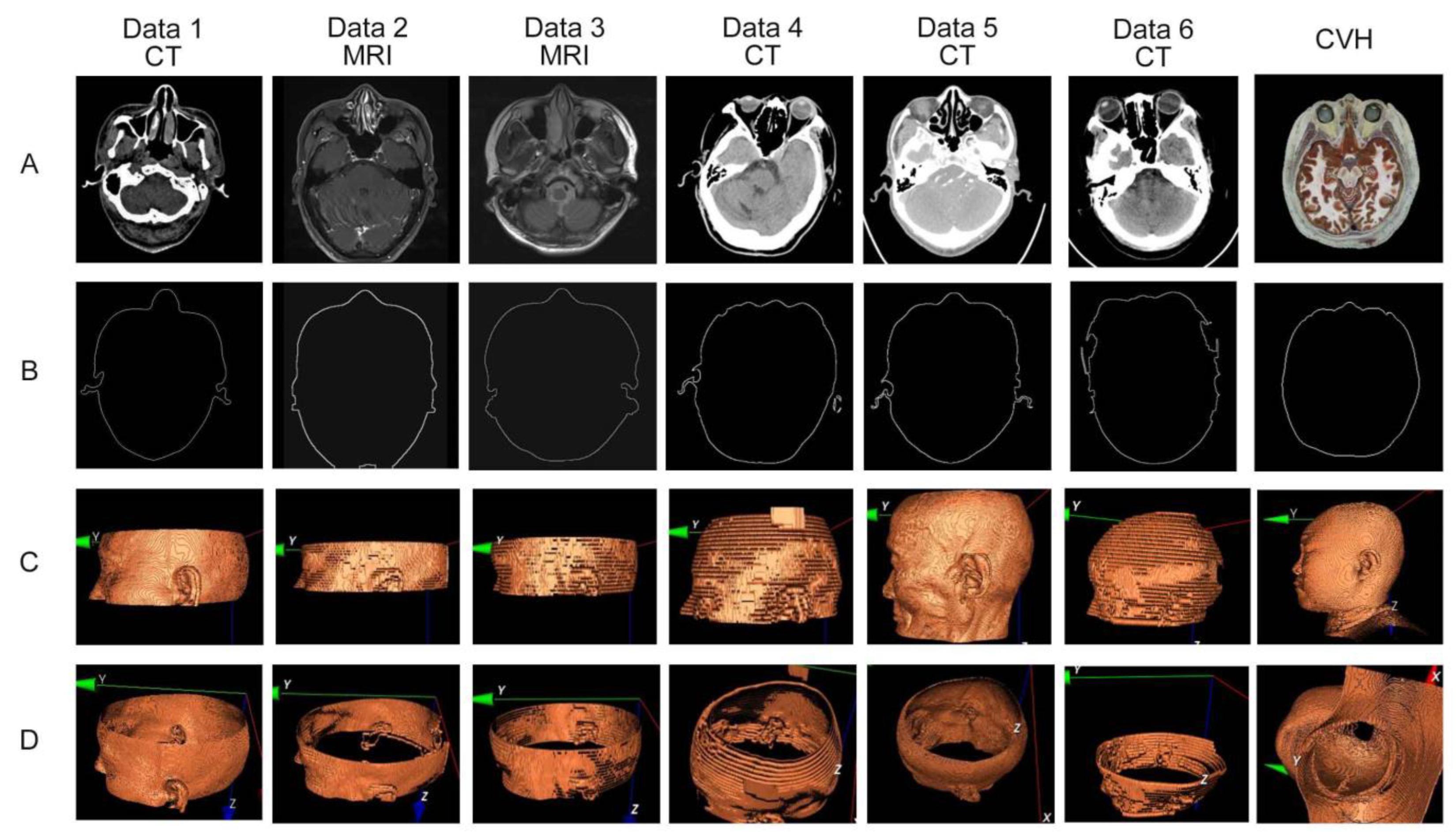Bioengineering 11 00891 g002