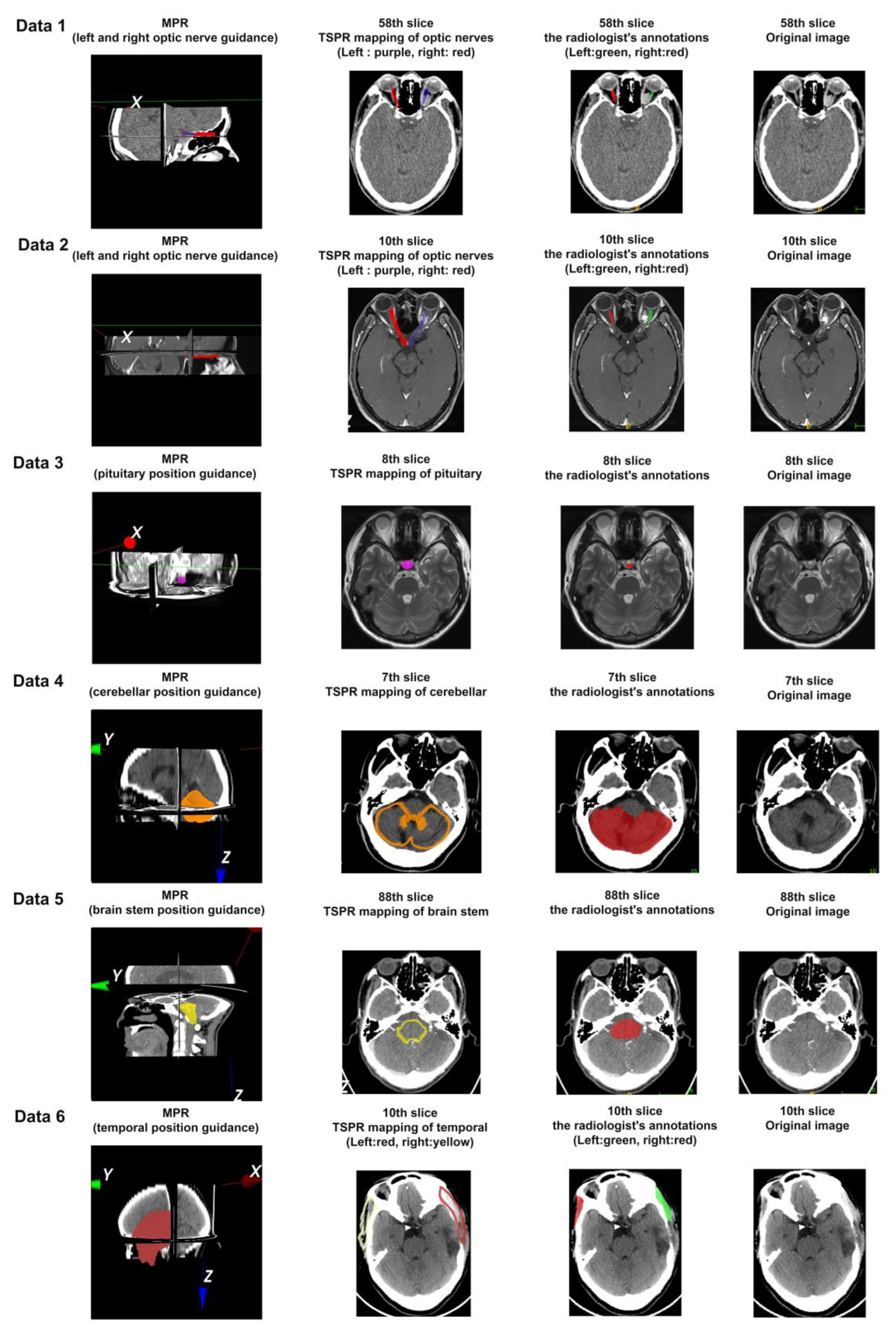 Bioengineering 11 00891 g008