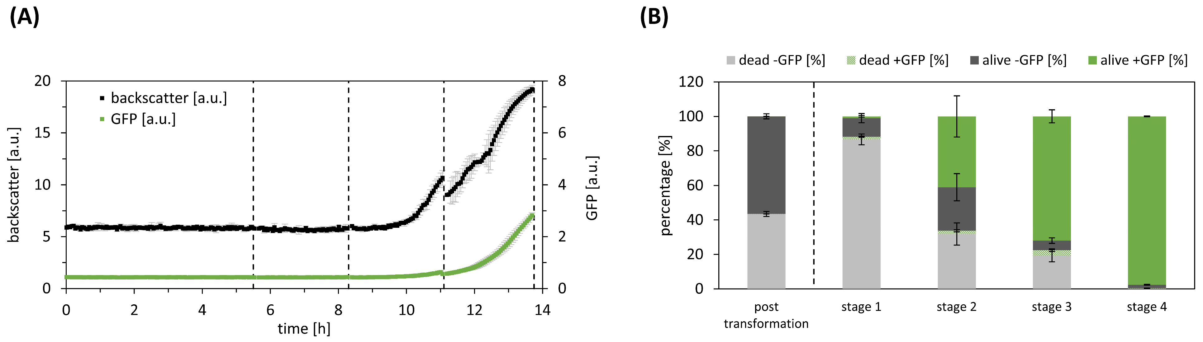 Bioengineering 11 00892 g002