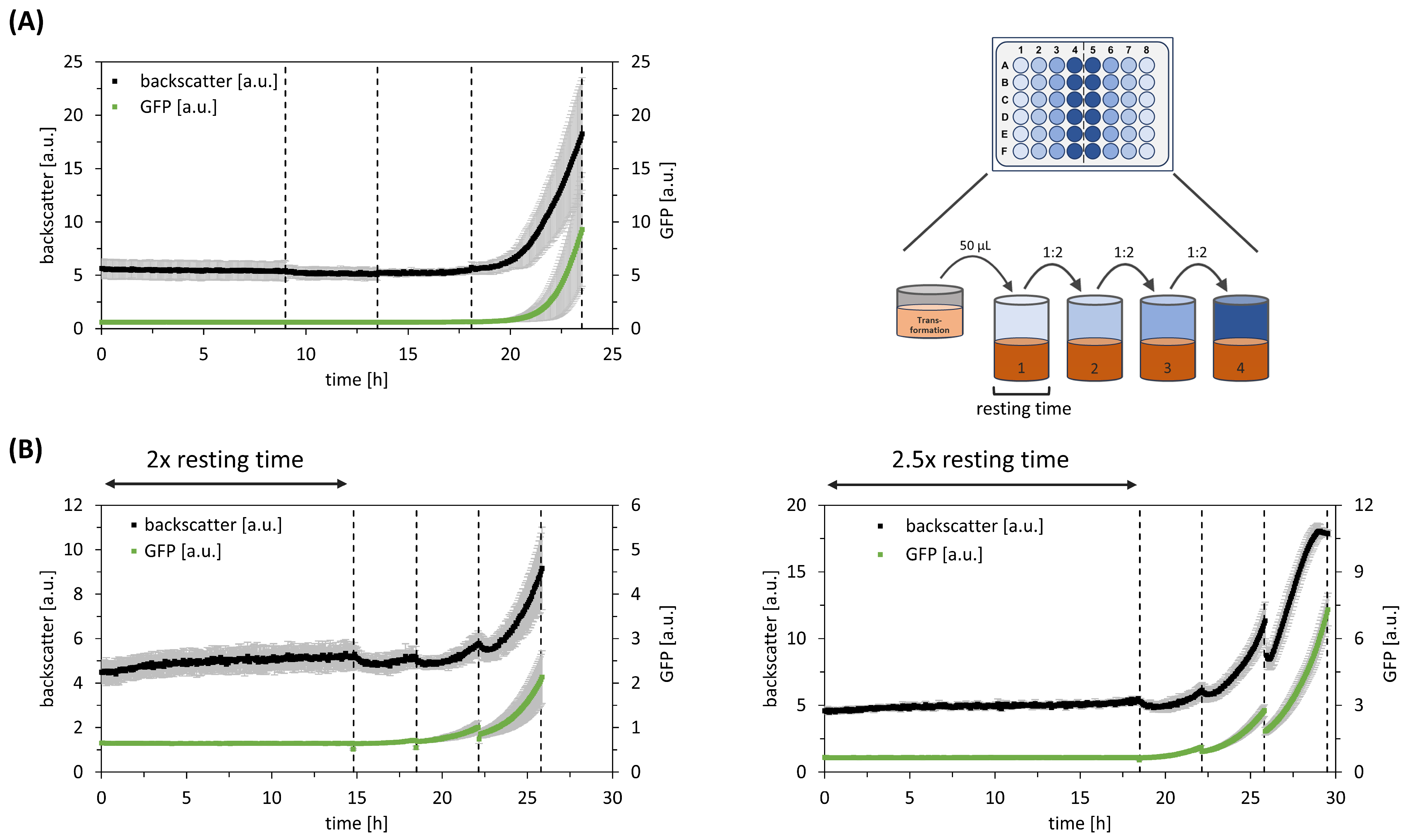 Bioengineering 11 00892 g005