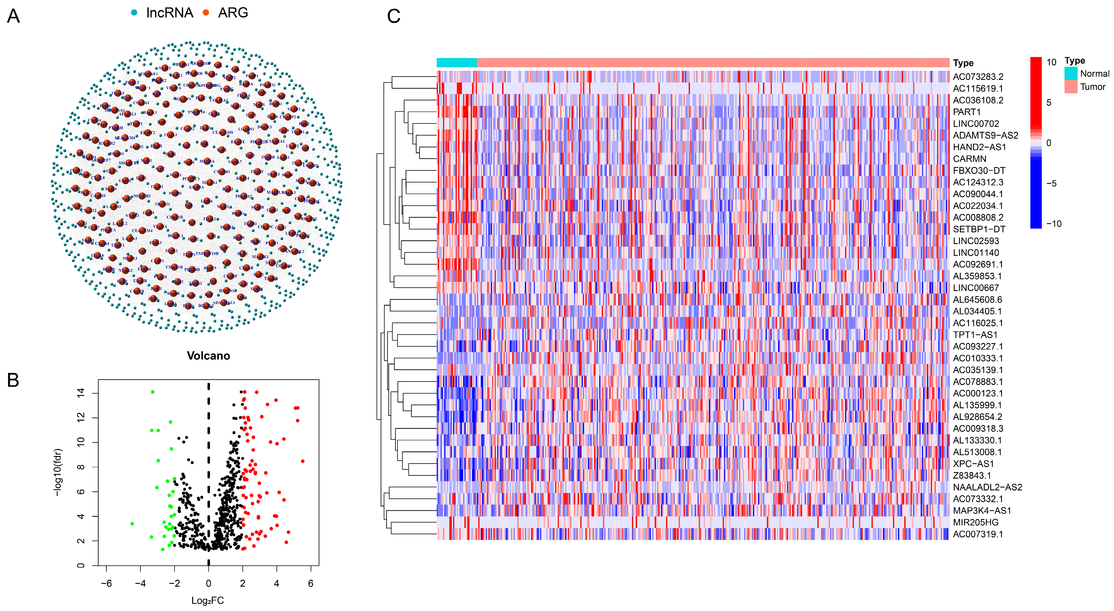 Bioengineering 11 00893 g001