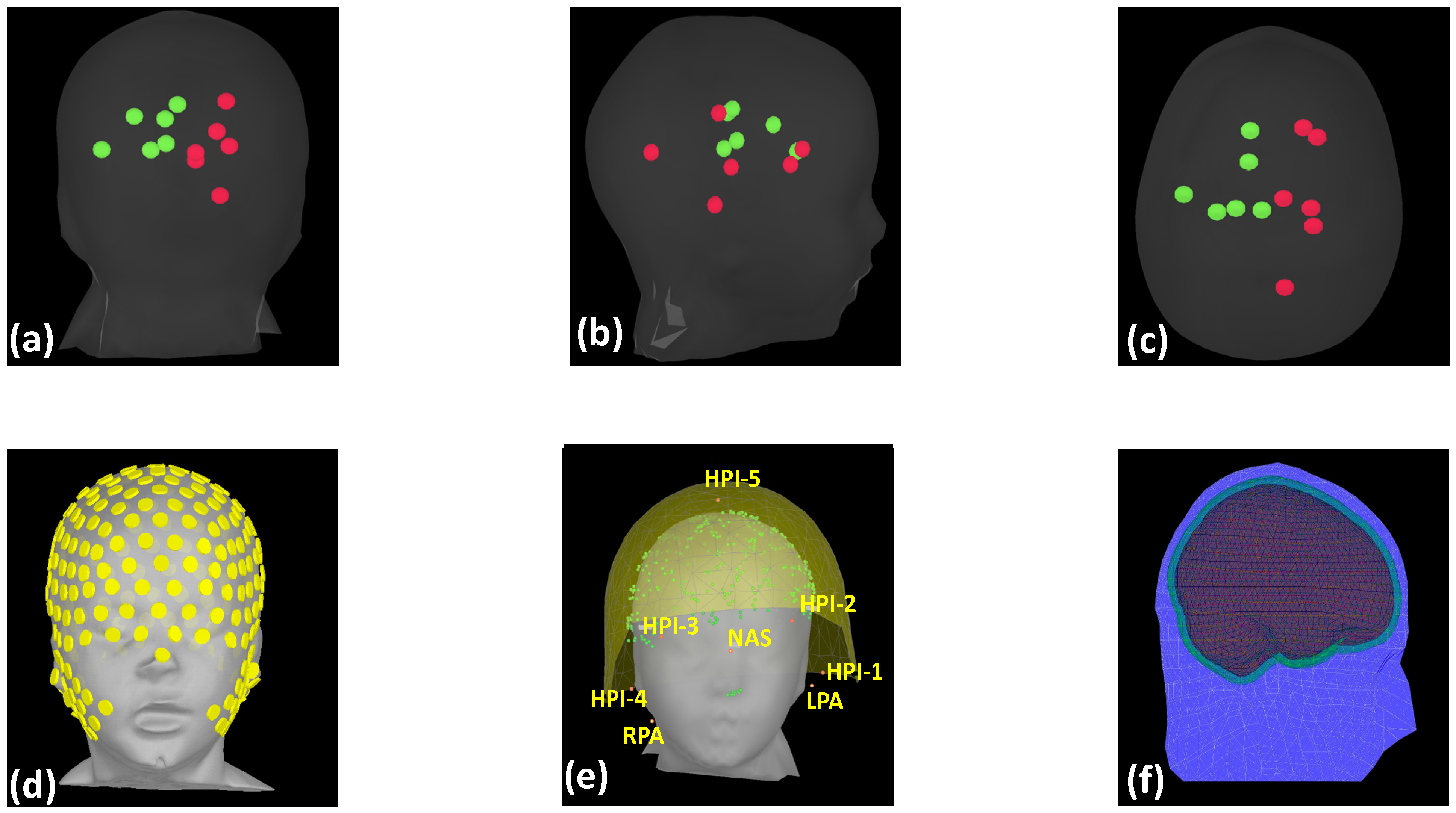 Bioengineering 11 00897 g001