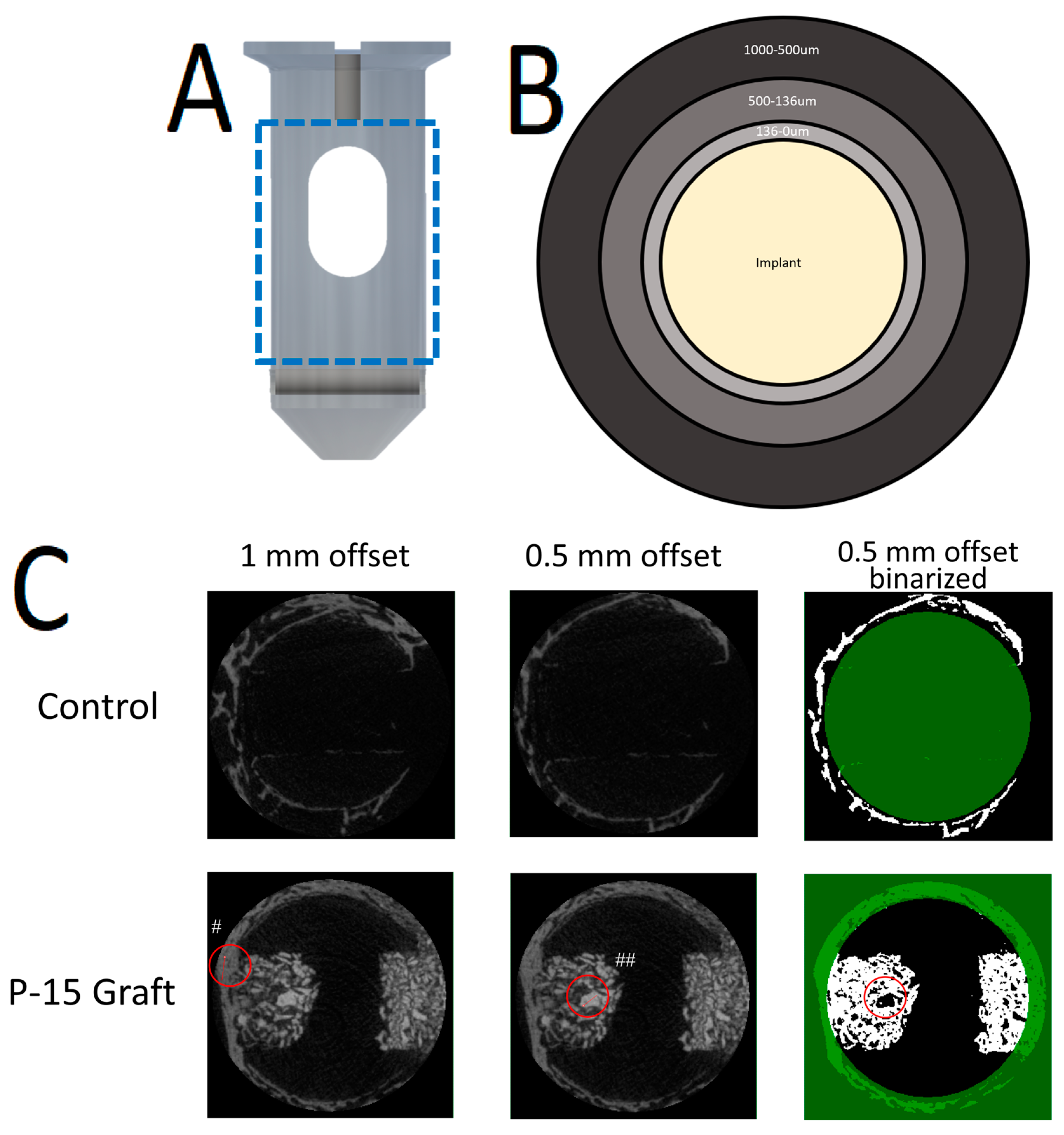 Bioengineering 11 00898 g001