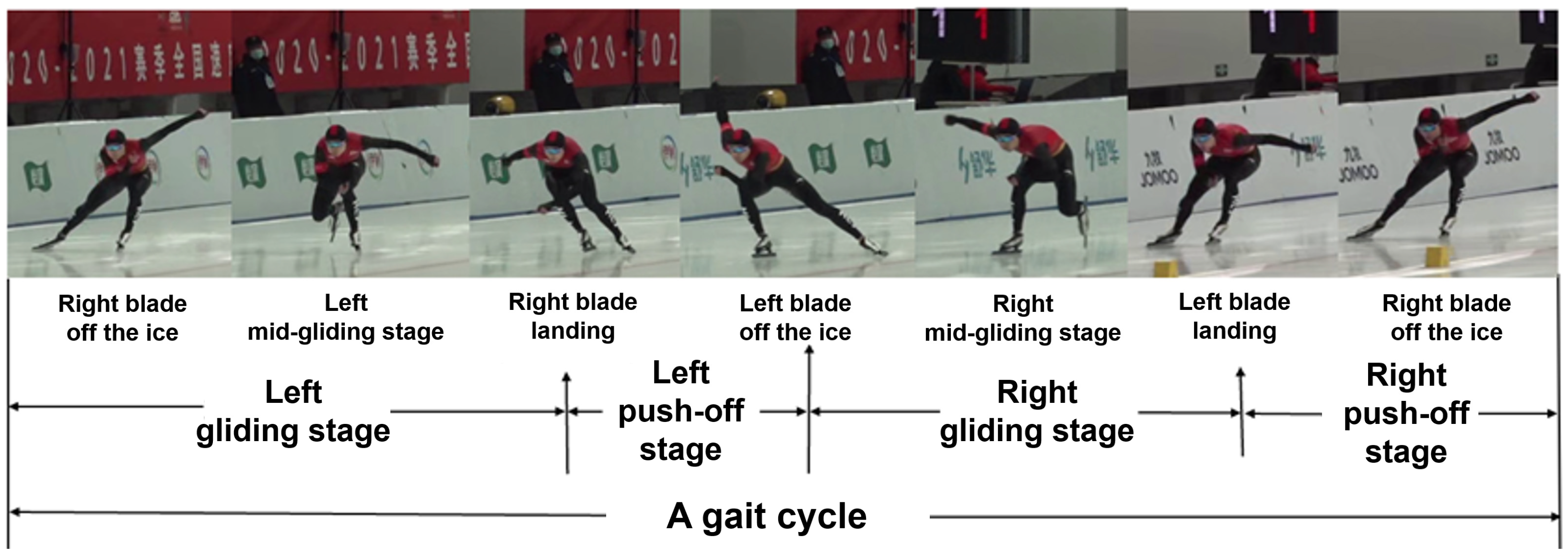 Bioengineering 11 00899 g001