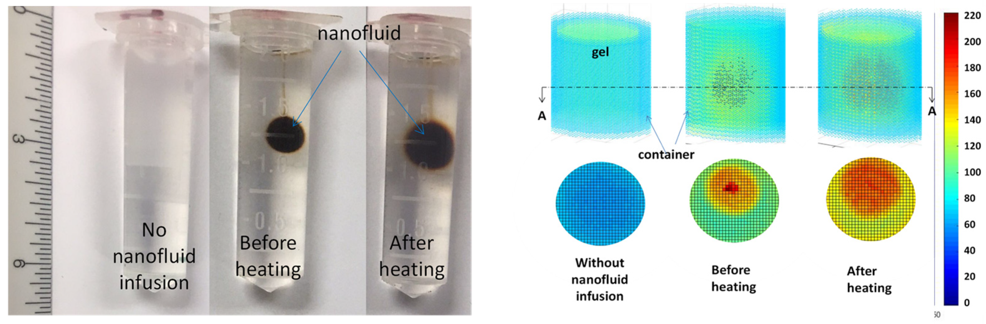 Bioengineering 11 00900 g001 Bioengineering 11 00900 g001