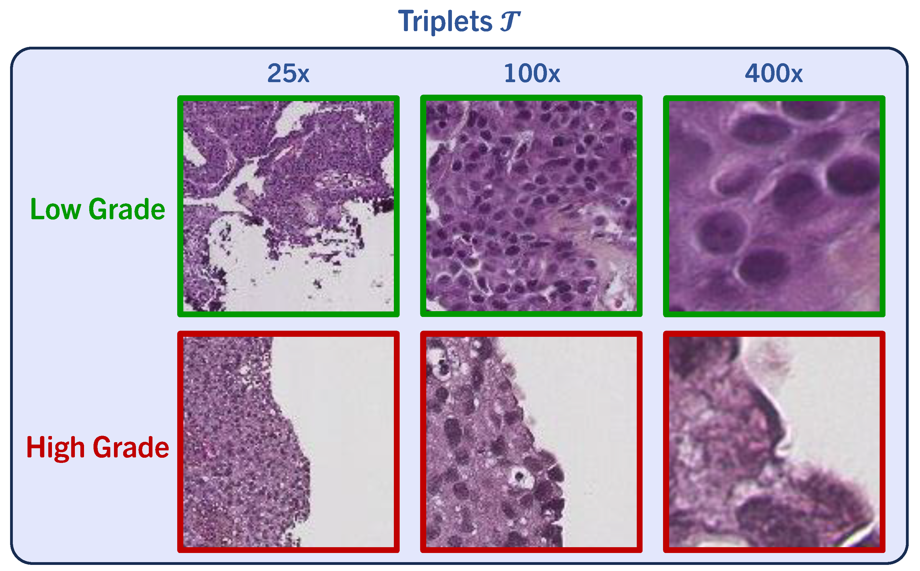 Bioengineering 11 00909 g002