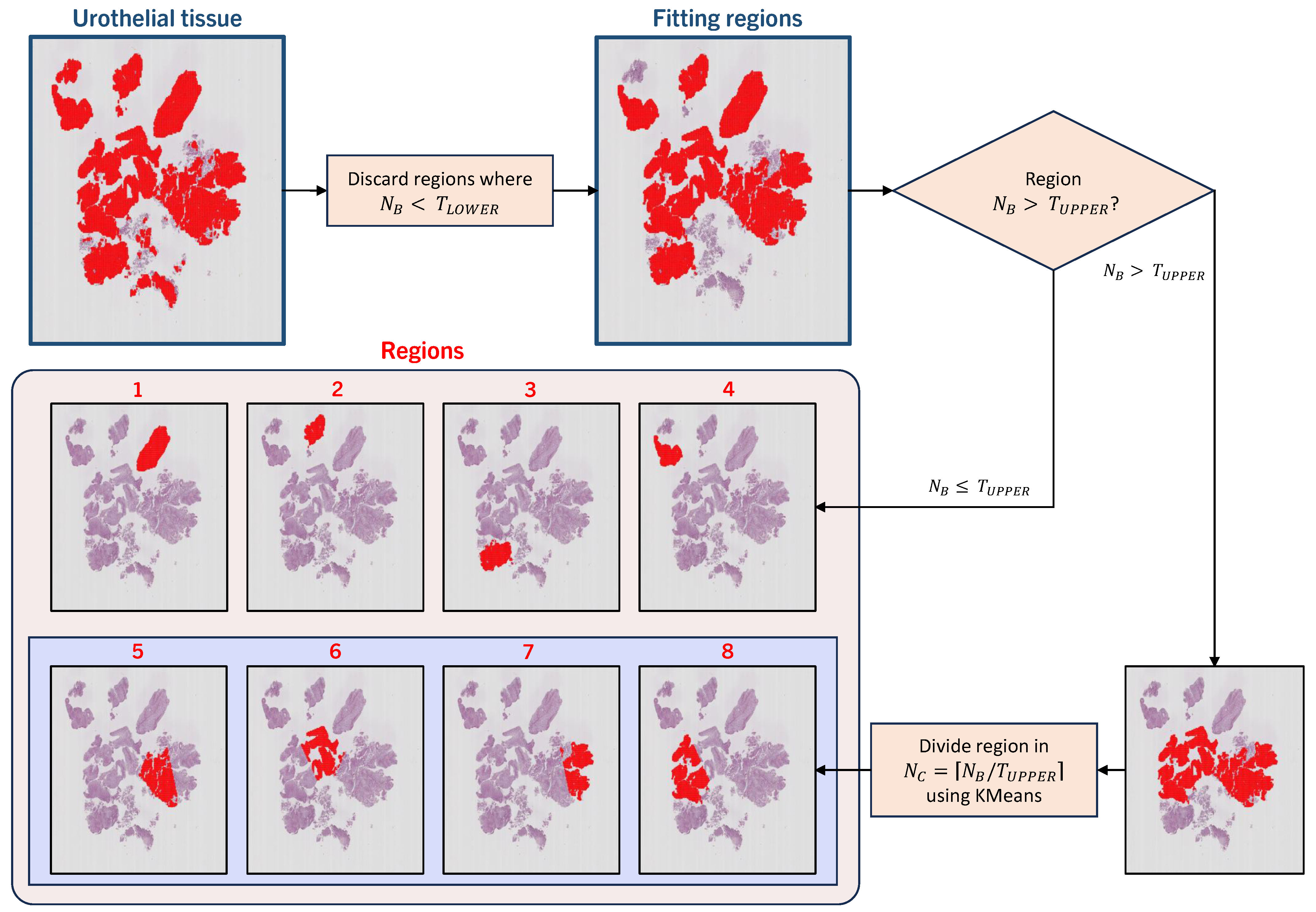 Bioengineering 11 00909 g003