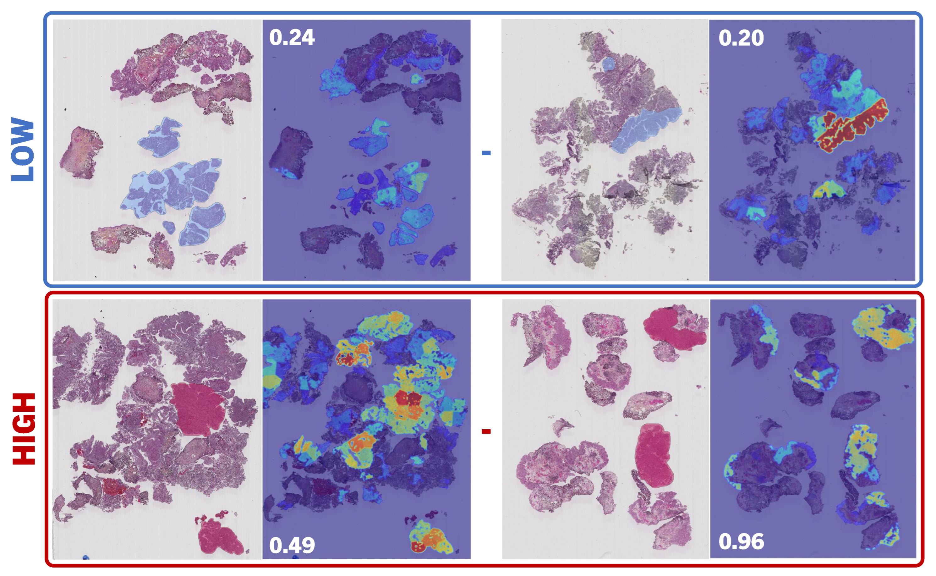 Bioengineering 11 00909 g005