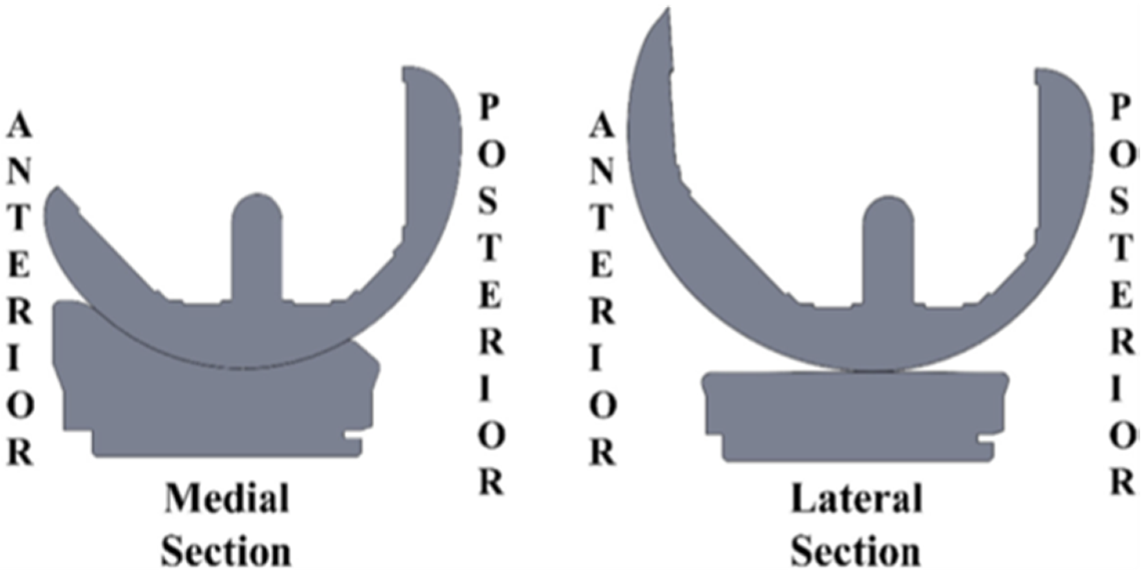 Bioengineering 11 00910 g001