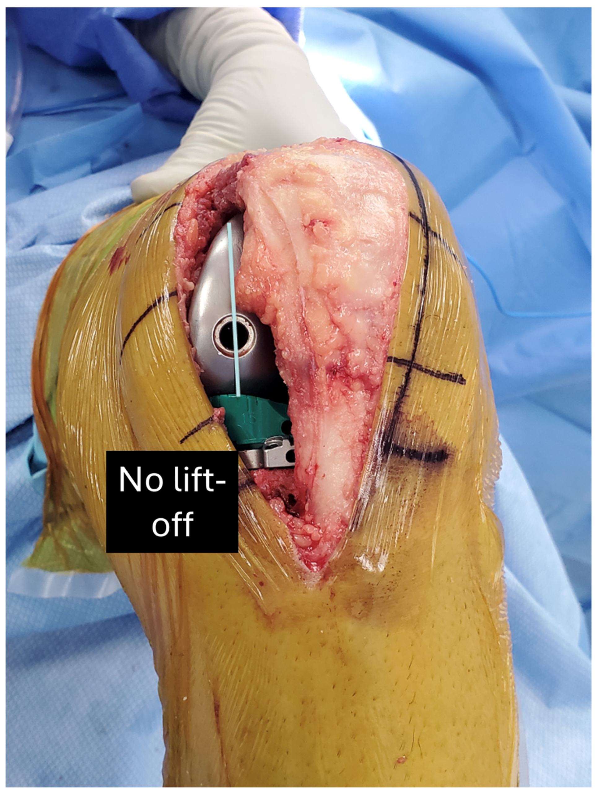 Bioengineering 11 00910 g006