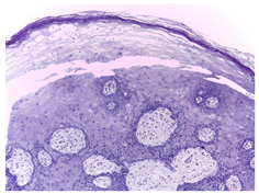 Bioengineering 11 00913 i001