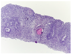 Bioengineering 11 00913 i002