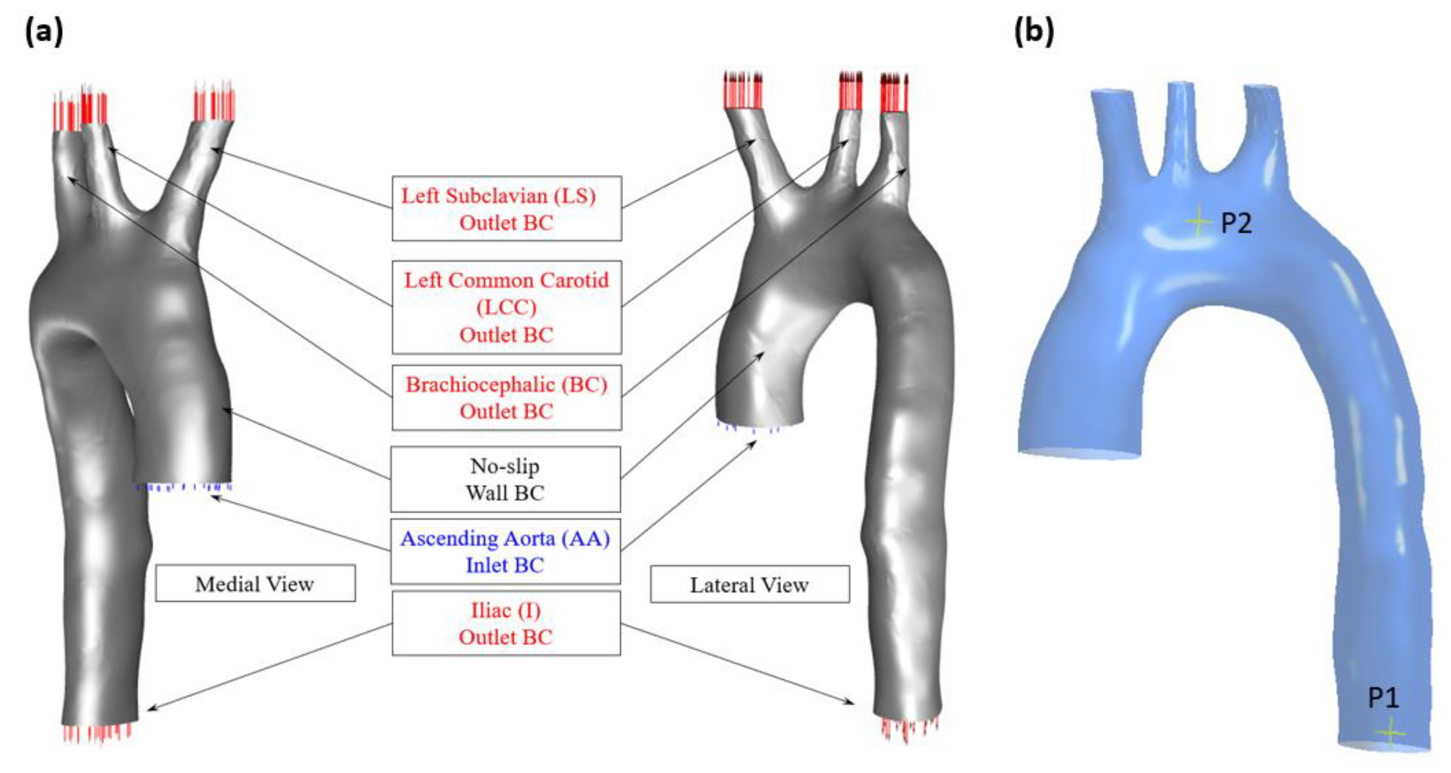 Bioengineering 11 00914 g002