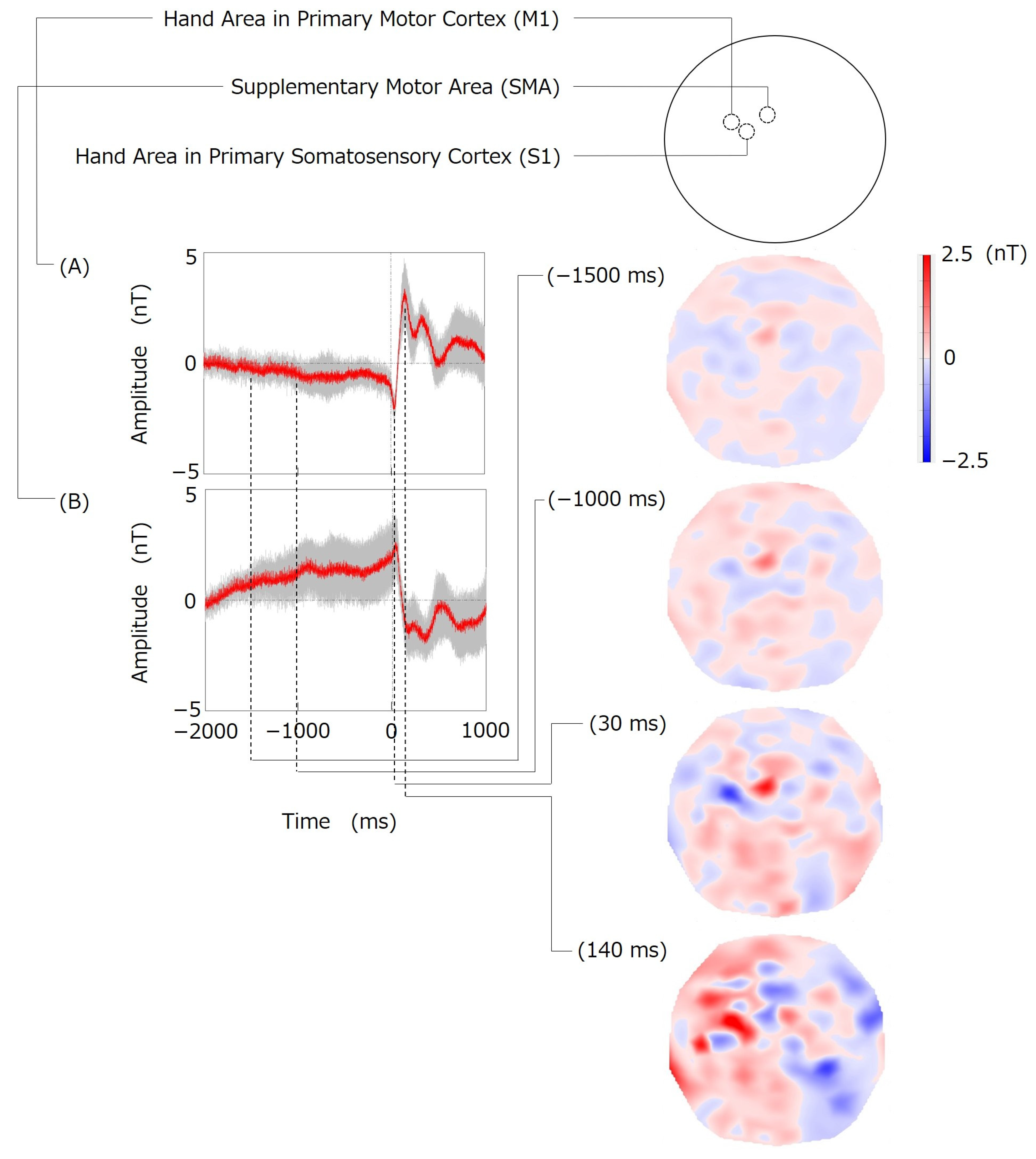 Bioengineering 11 00917 g004