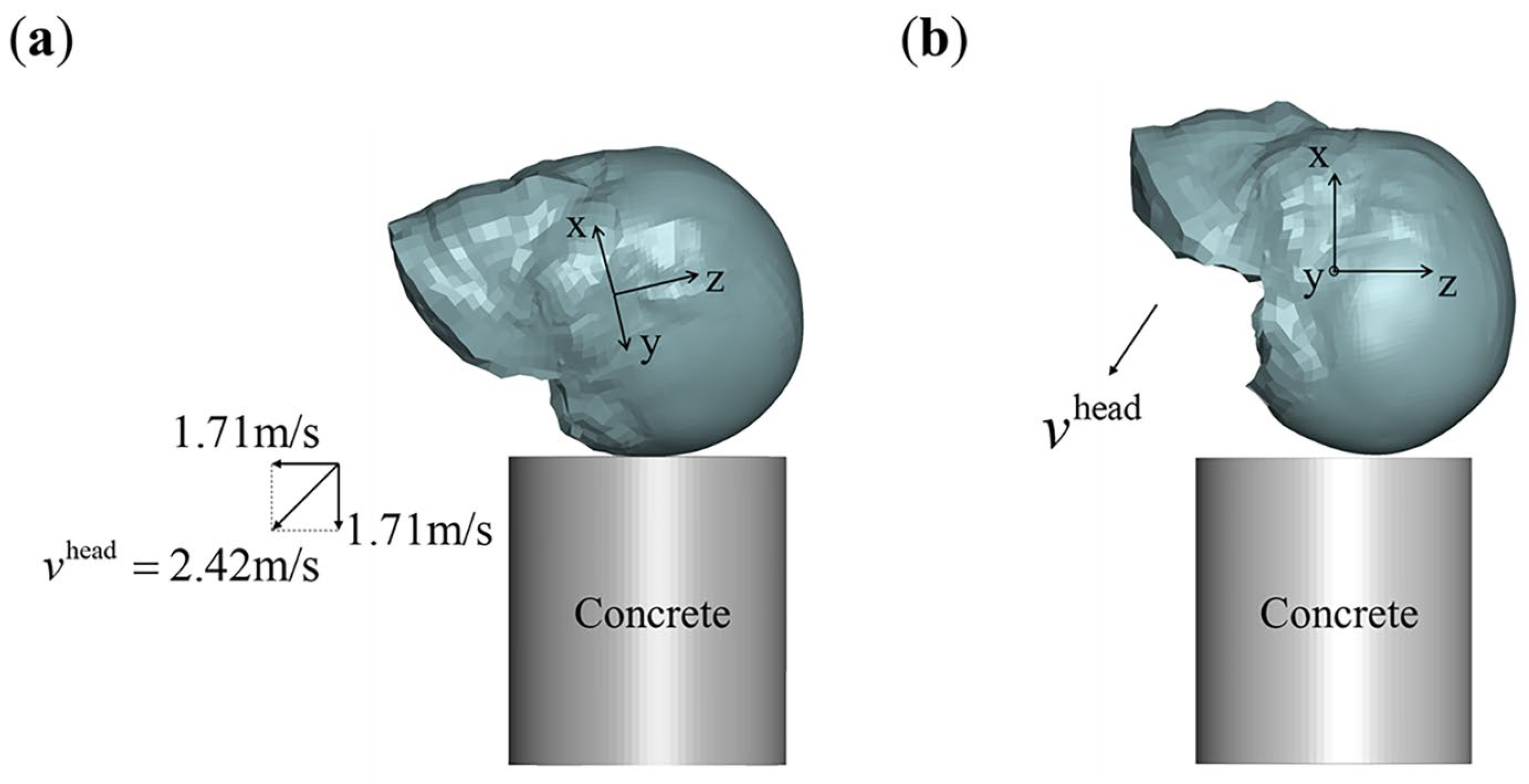 Bioengineering 11 00918 g004 Bioengineering 11 00918 g004