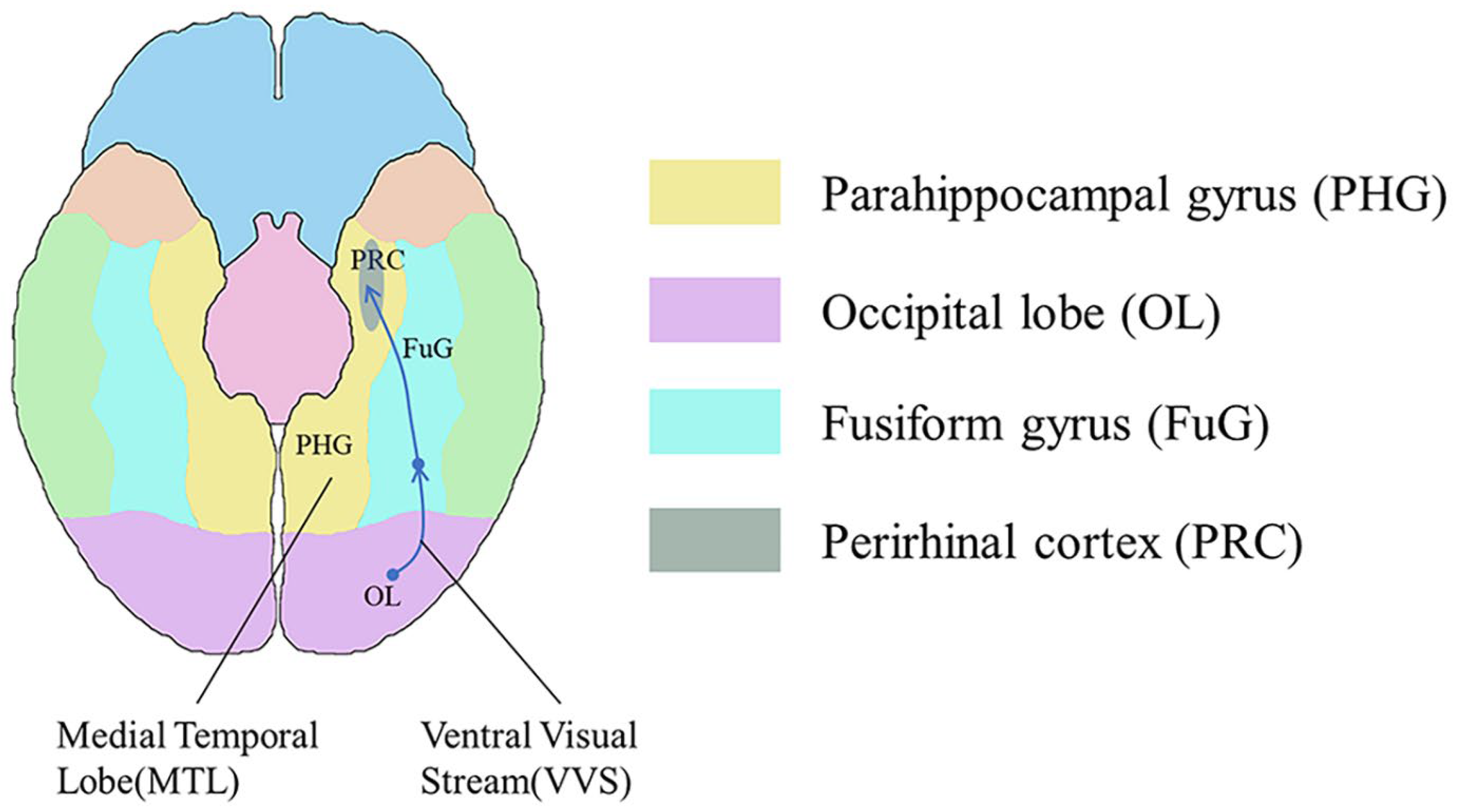Bioengineering 11 00918 g005 Bioengineering 11 00918 g005
