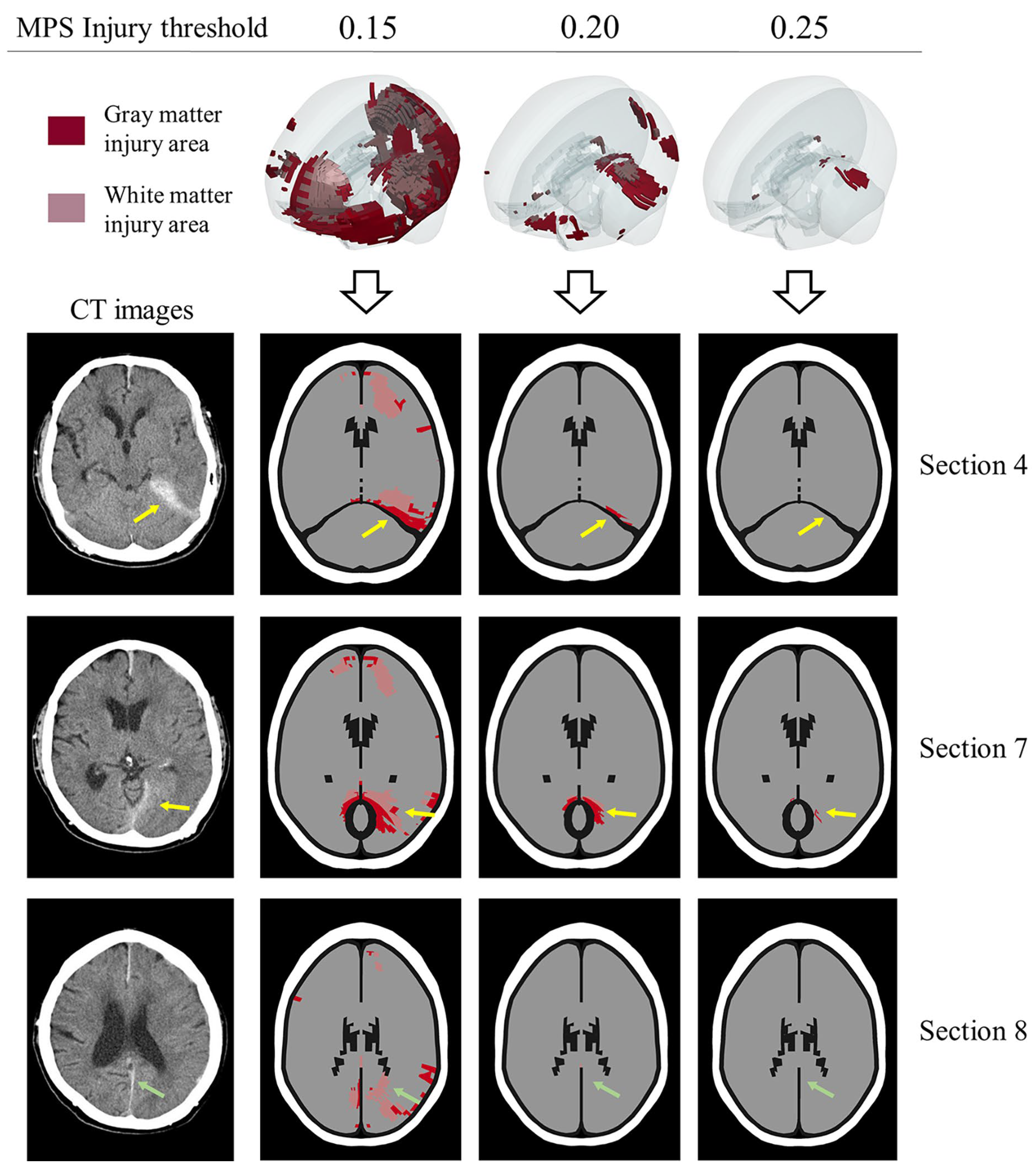 Bioengineering 11 00918 g009 Bioengineering 11 00918 g009
