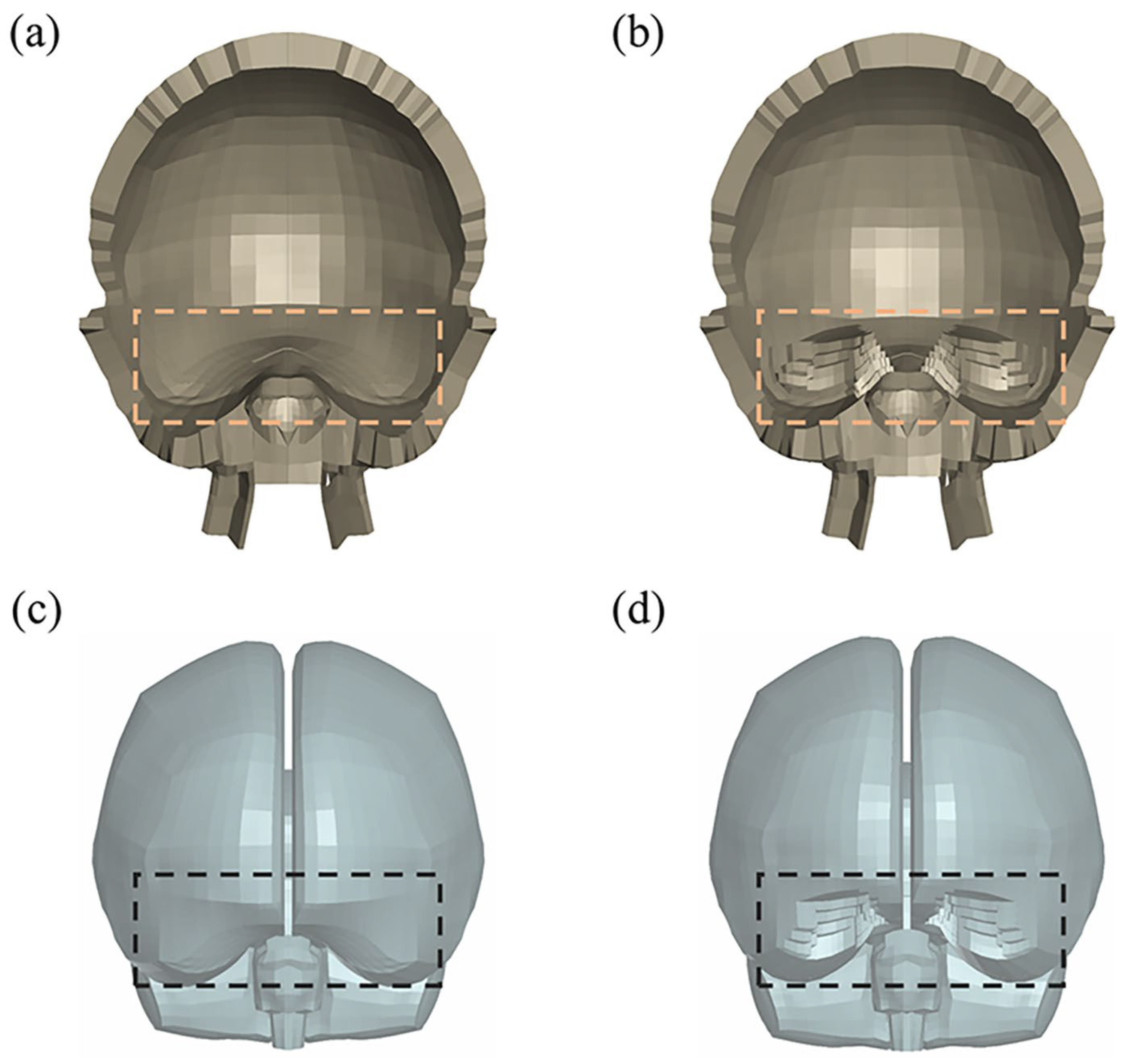 Bioengineering 11 00918 g0a1 Bioengineering 11 00918 g0a1