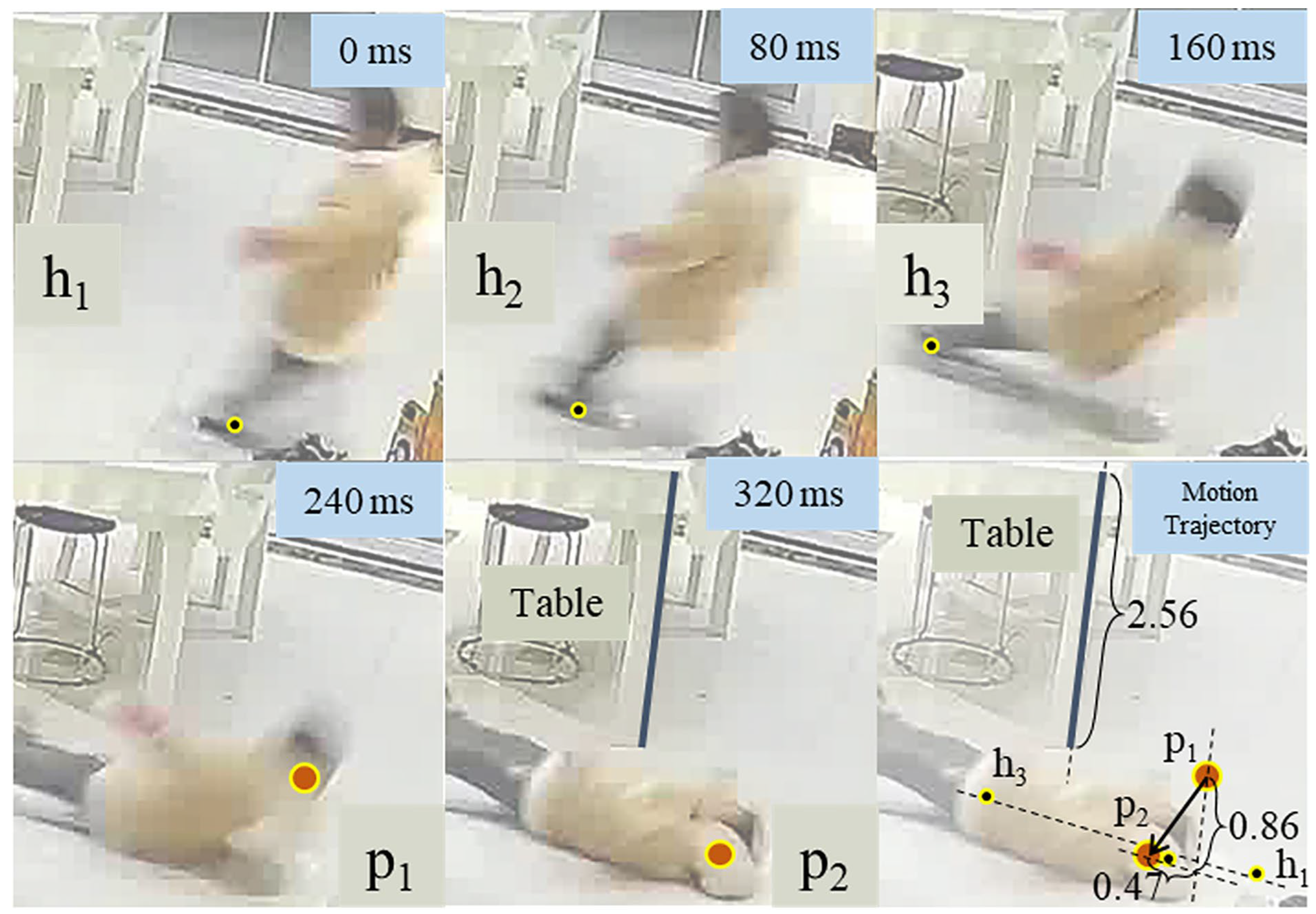 Bioengineering 11 00918 g0a3 Bioengineering 11 00918 g0a3