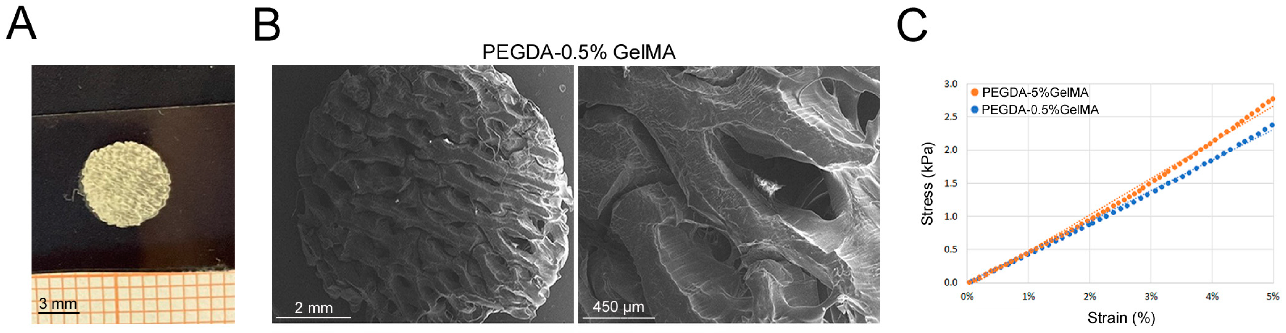 Bioengineering 11 00920 g002