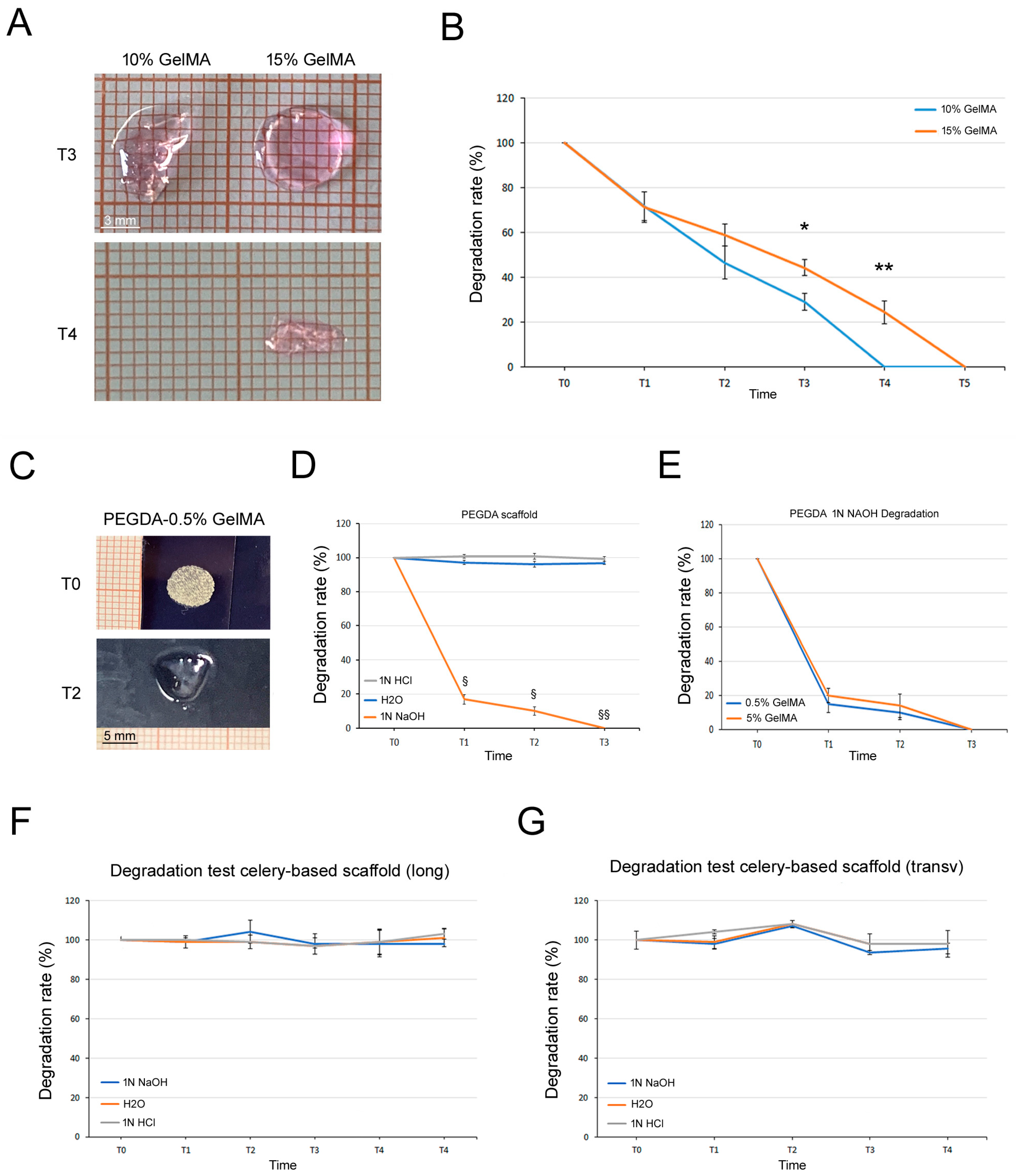 Bioengineering 11 00920 g004