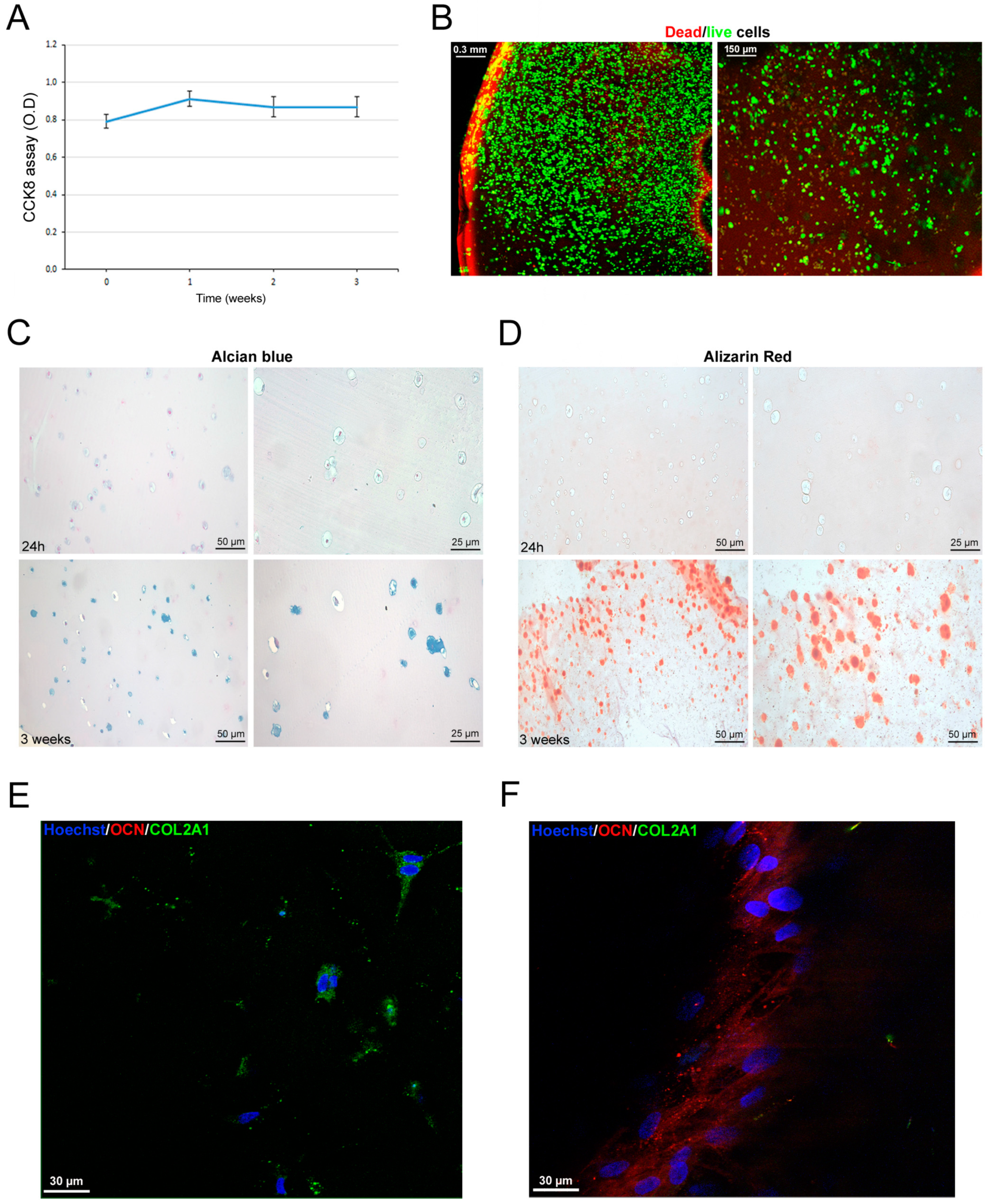 Bioengineering 11 00920 g006