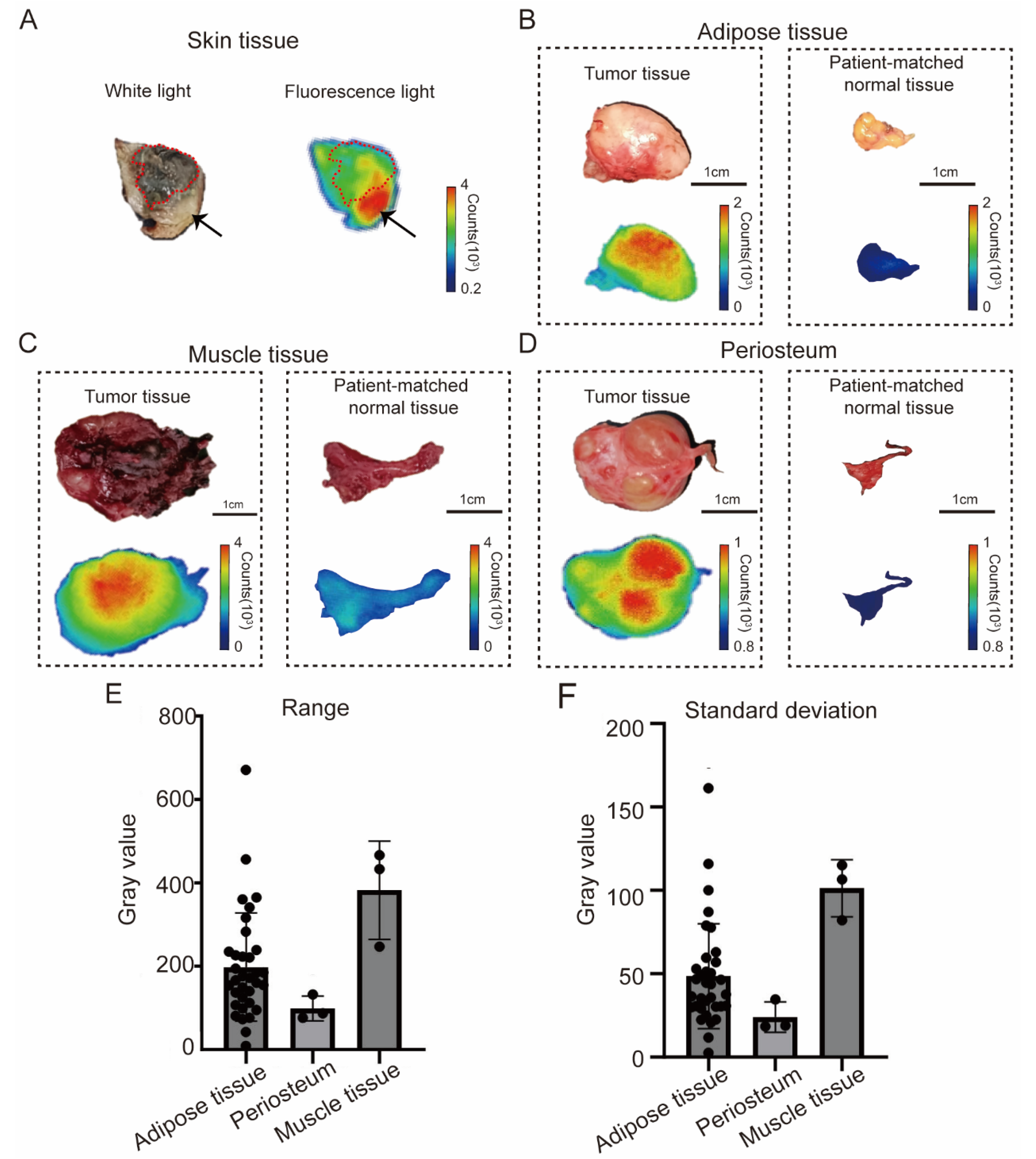 Bioengineering 11 00922 g001