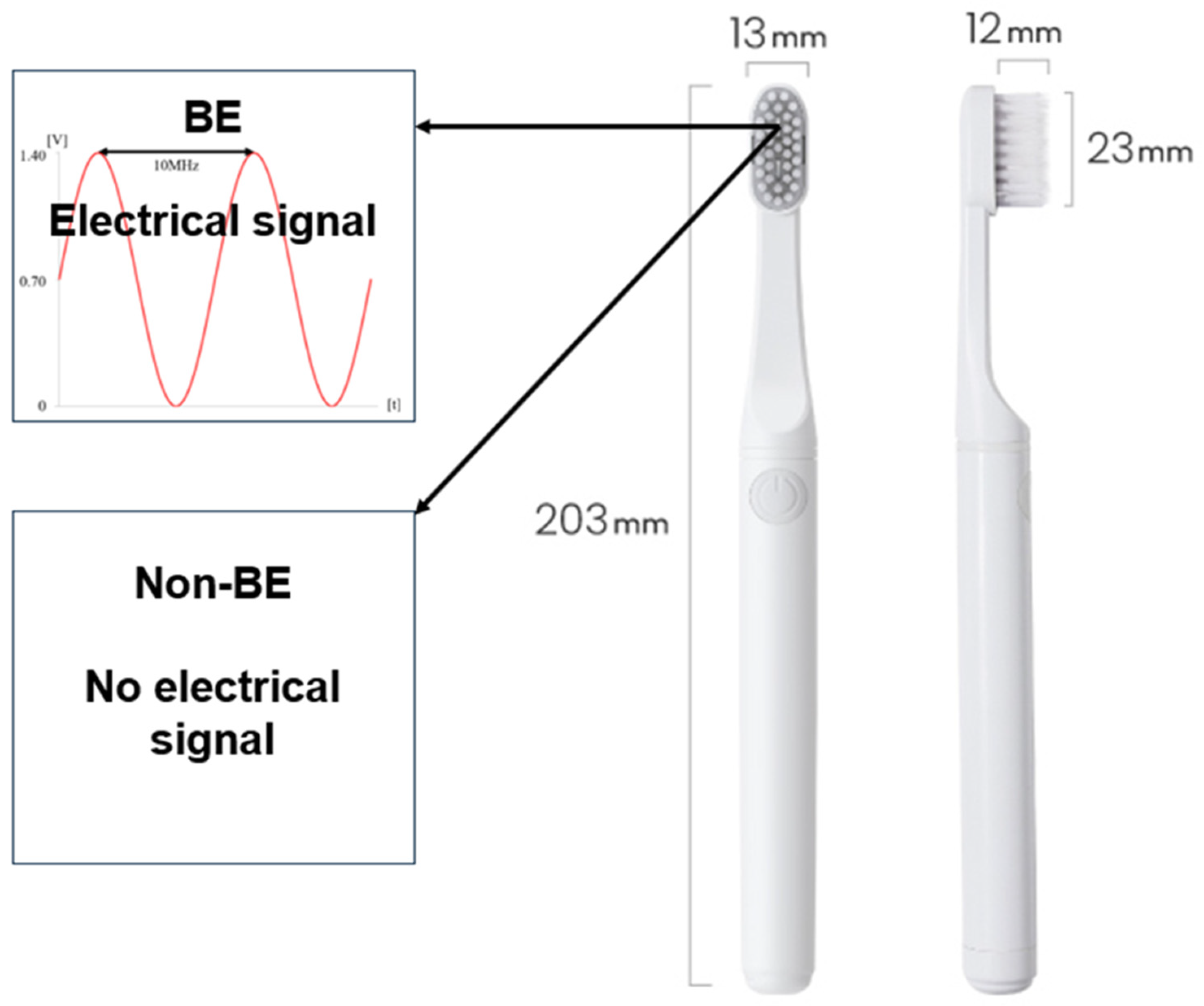 Bioengineering 11 00923 g001