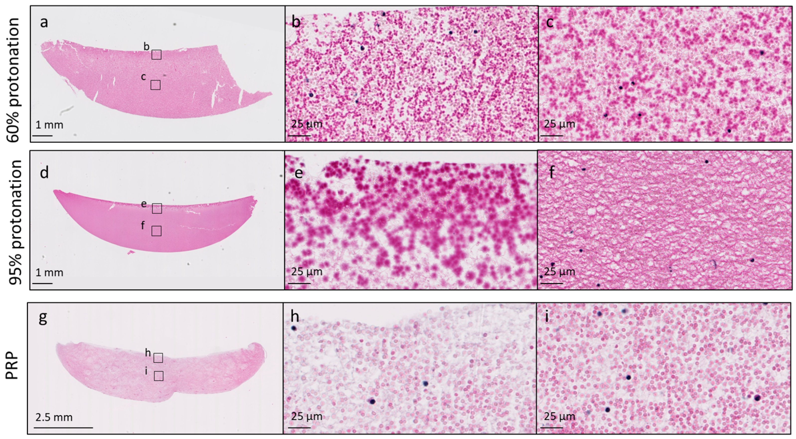 Bioengineering 11 00929 g003
