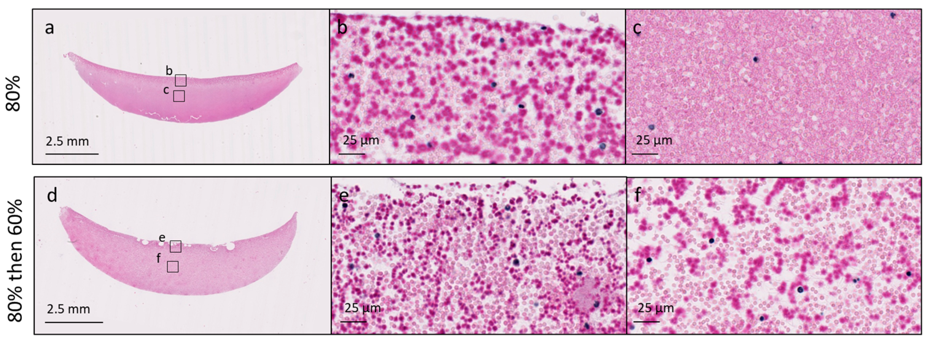 Bioengineering 11 00929 g005