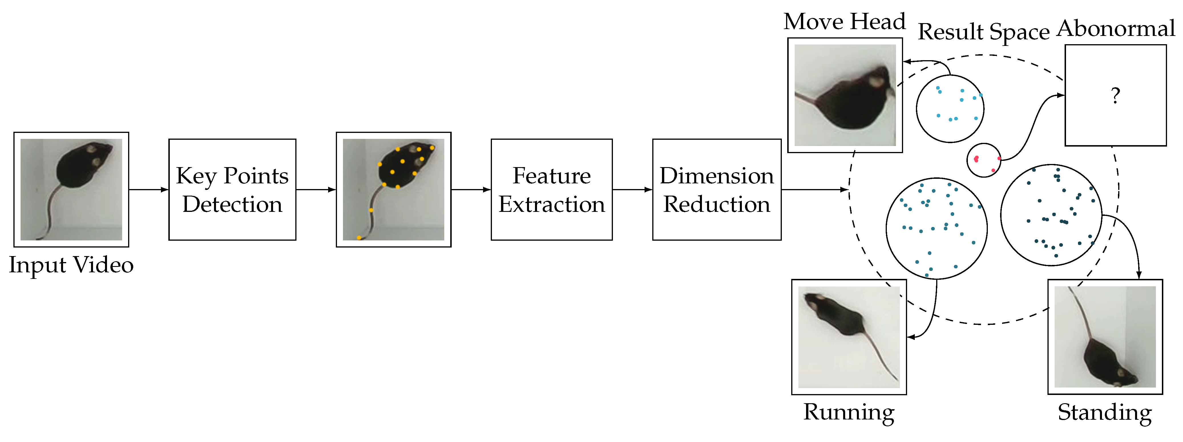 Bioengineering 11 00930 g001