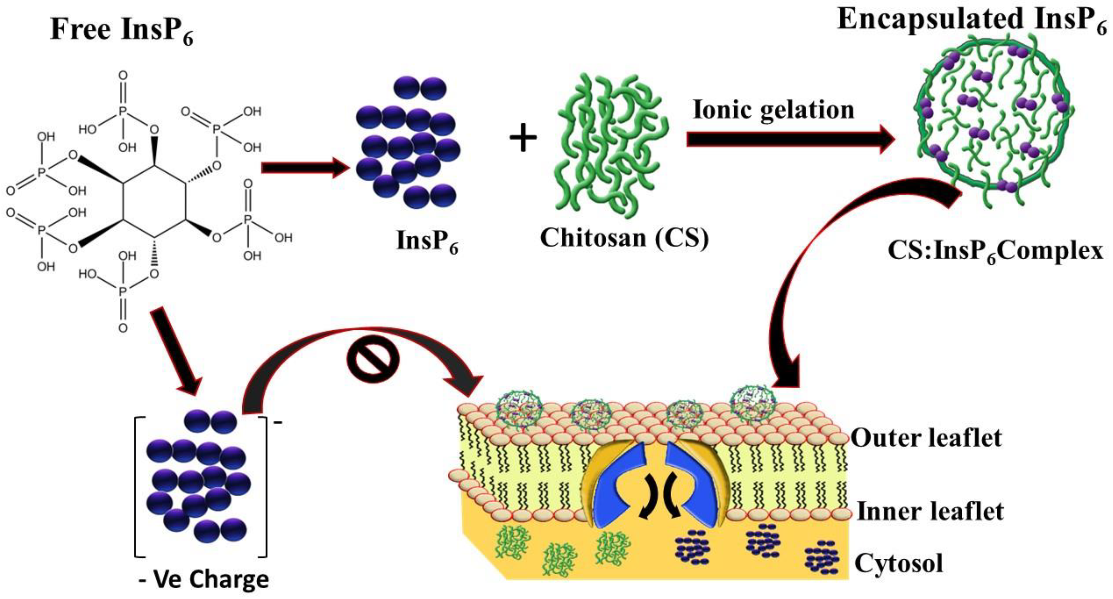 Bioengineering 11 00931 g001