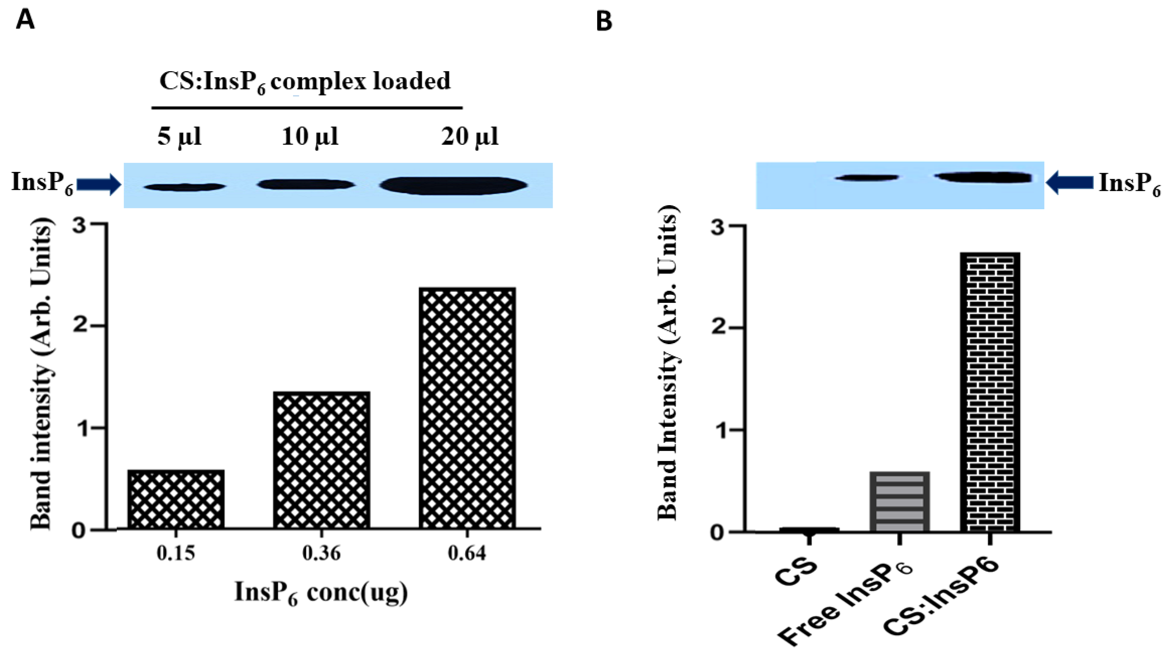 Bioengineering 11 00931 g006