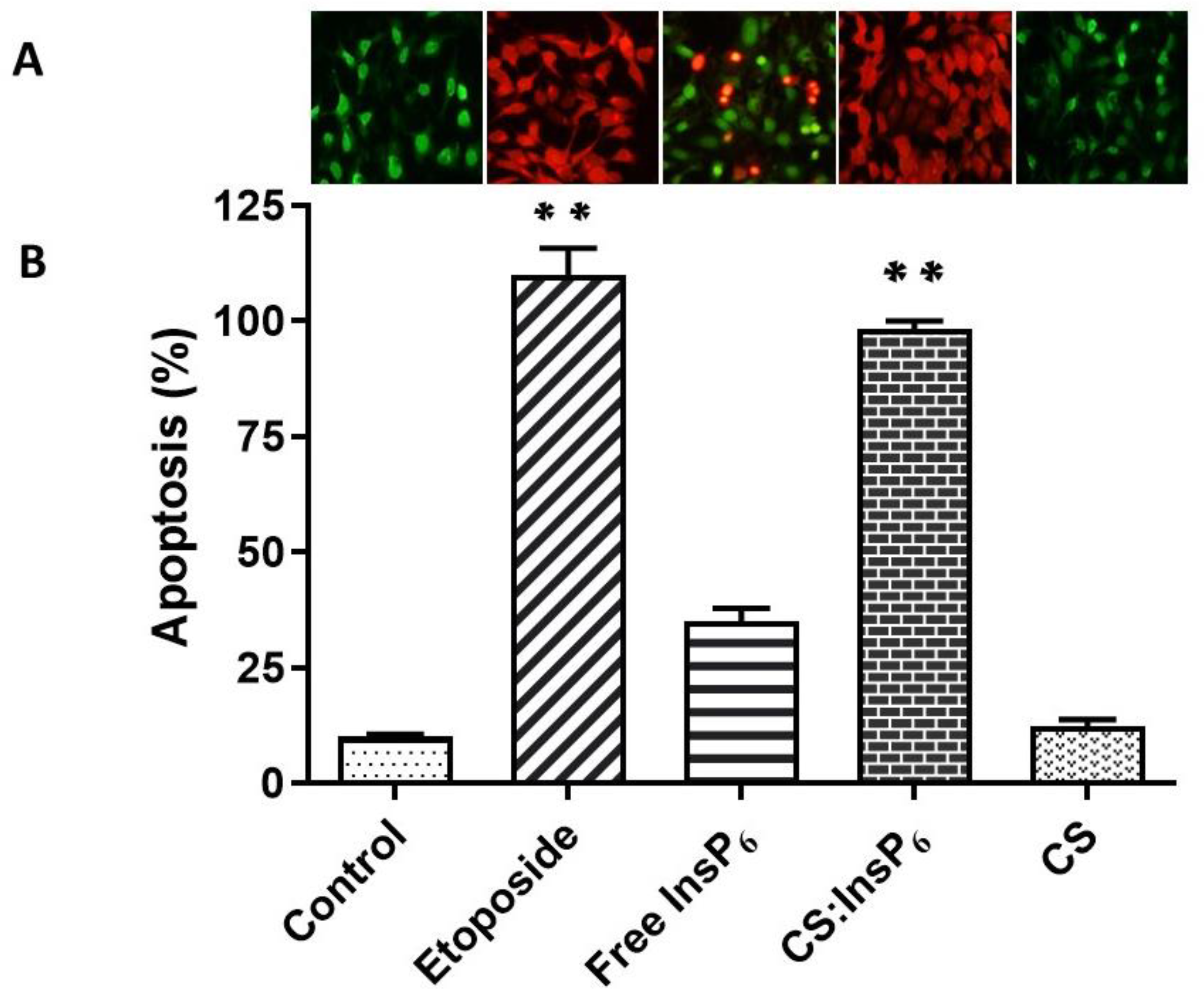 Bioengineering 11 00931 g008