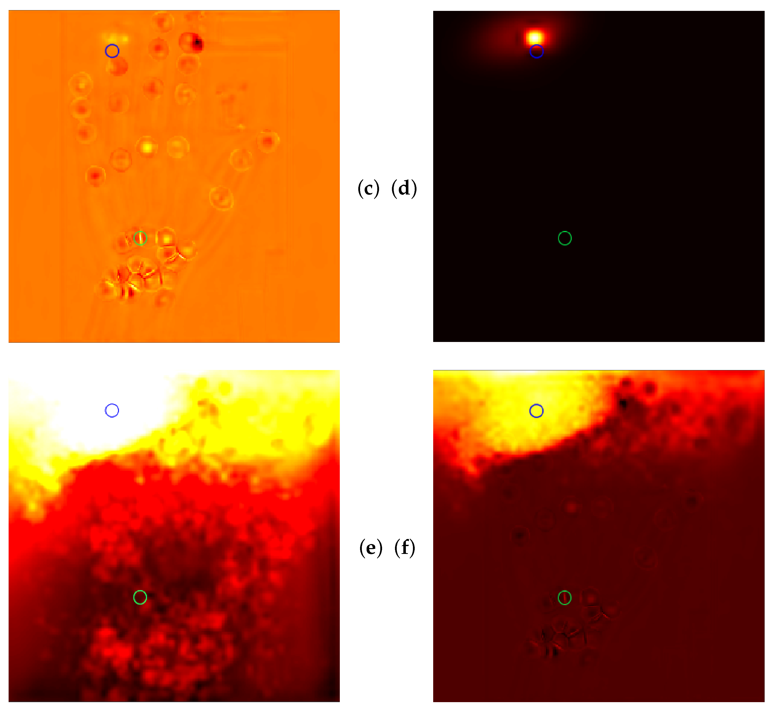 Bioengineering 11 00932 g009b
