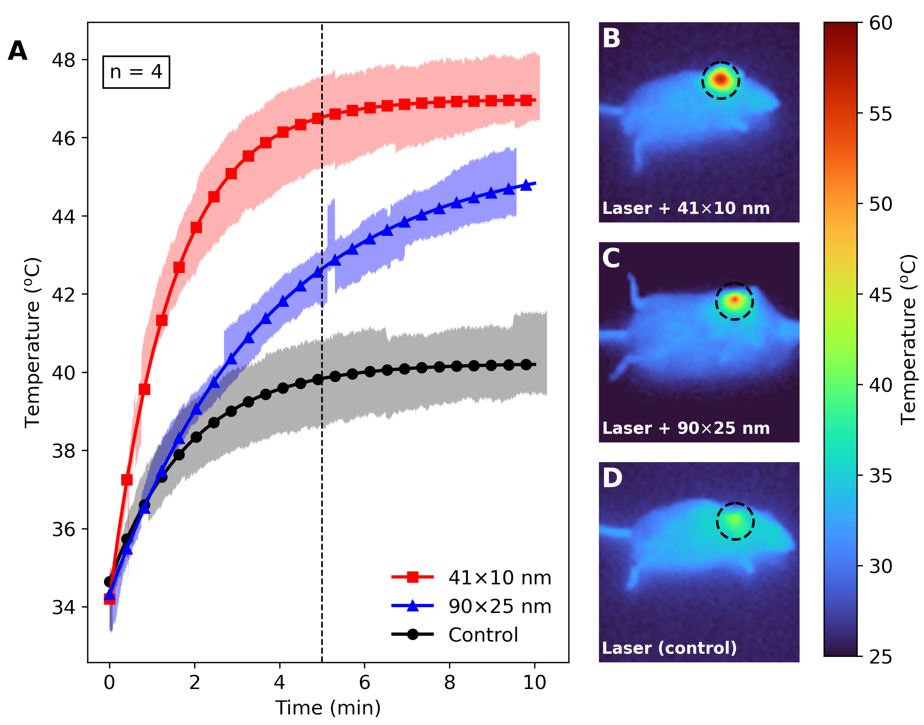 Bioengineering 11 00934 g006
